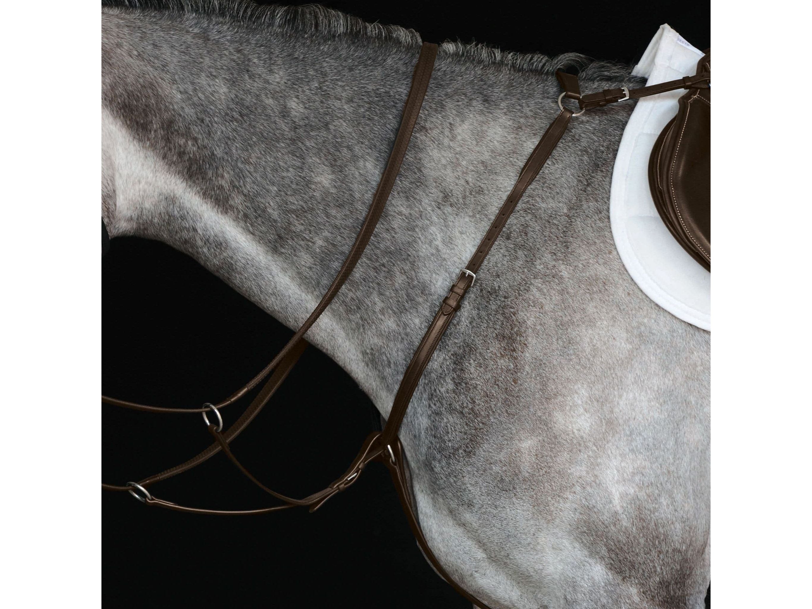 Collegiate Hunter Breast Plate Iv