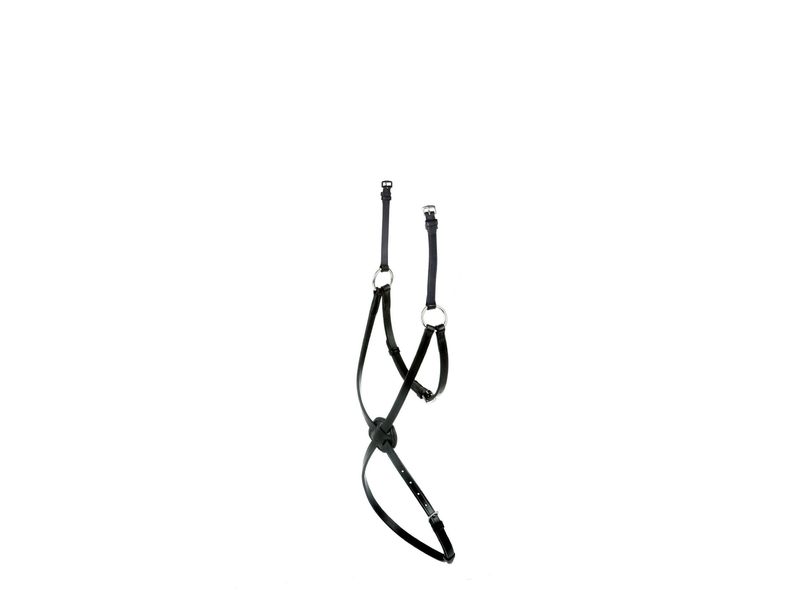 Collegiate Mono Crown Grackle Noseband