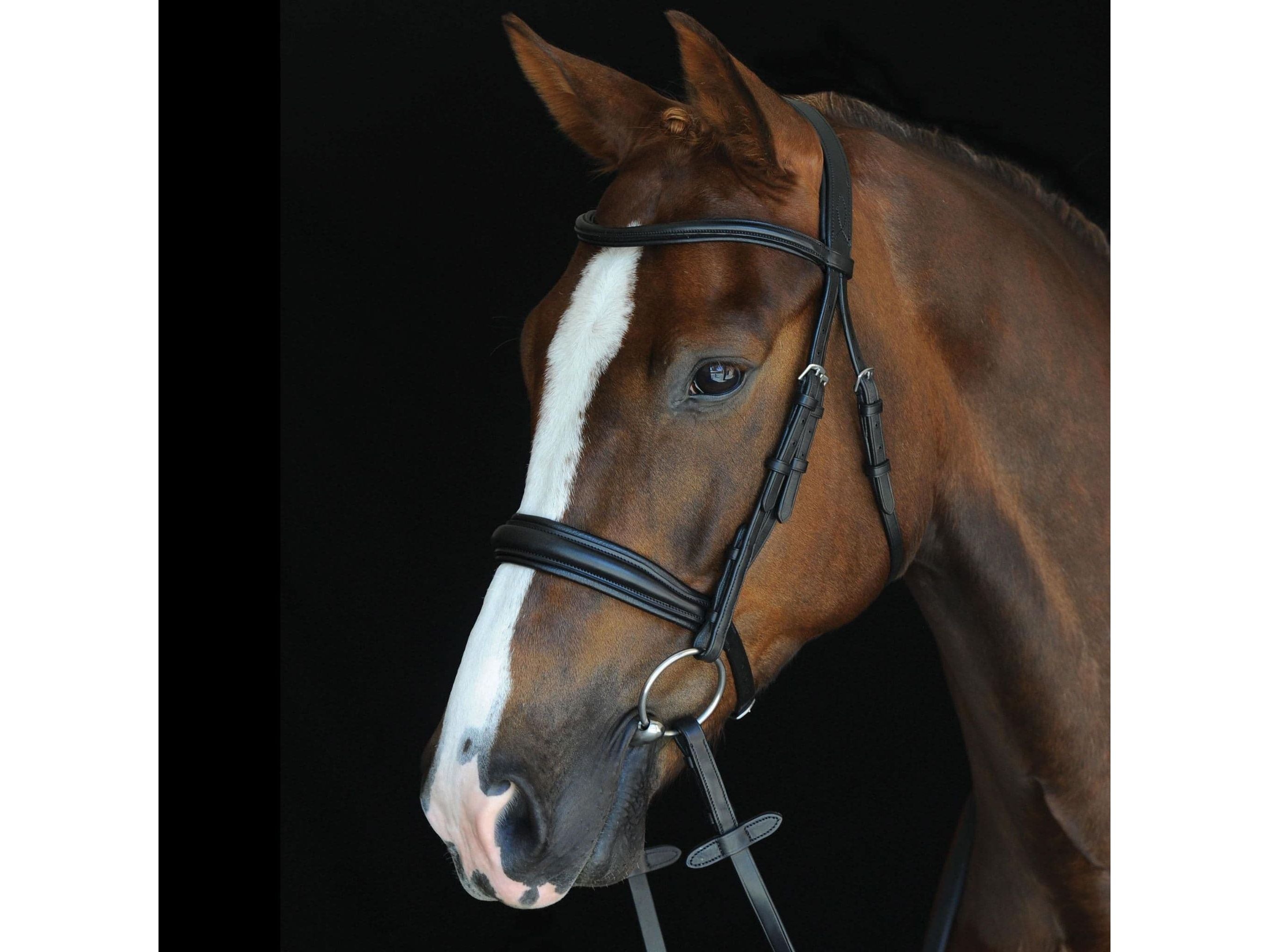 Collegiate Mono Crown Padded Raised Cavesson Bridle
