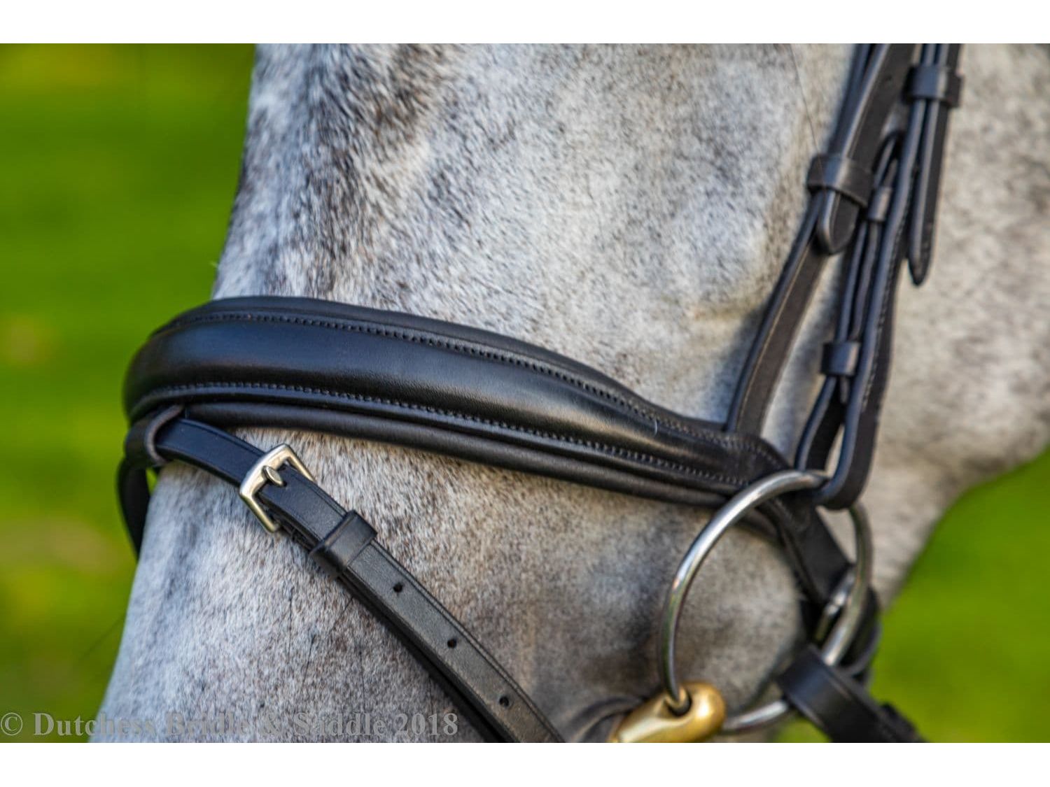 Collegiate Mono Crown Padded Raised Flash Bridle