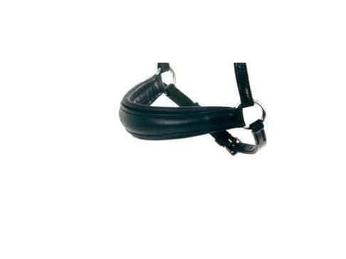 Collegiate Padded Crank Cavesson Noseband
