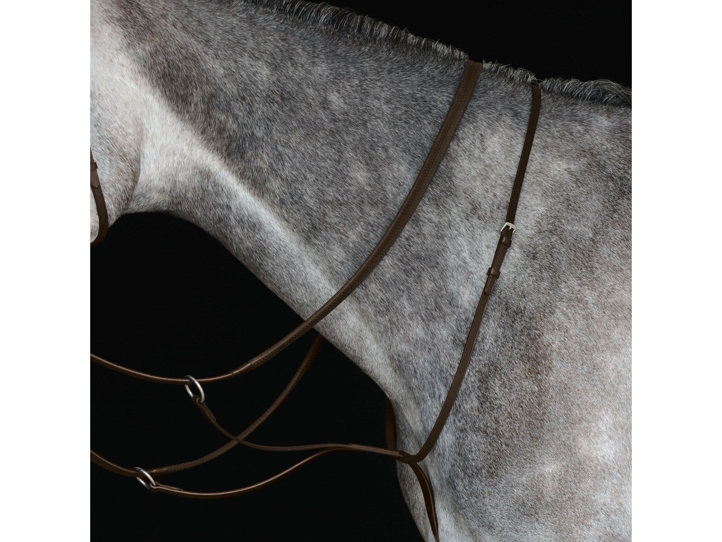 Collegiate Running Martingale Iv
