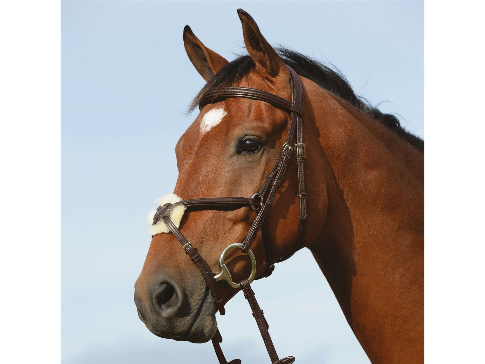 Collegiate Syntovia+ Padded Raised Figure 8 Bridle