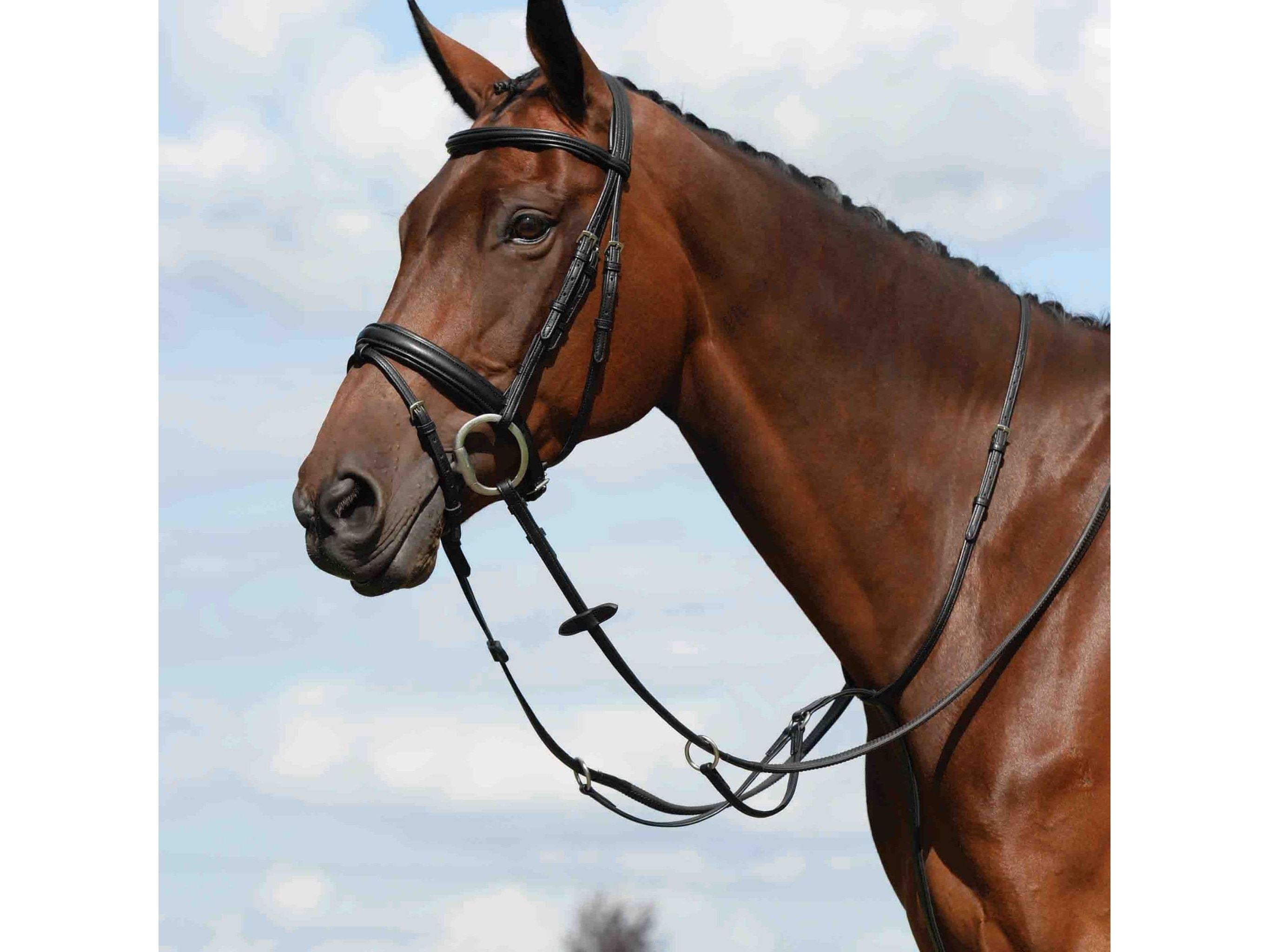 Collegiate Syntovia+ Plain Flat Running Martingale