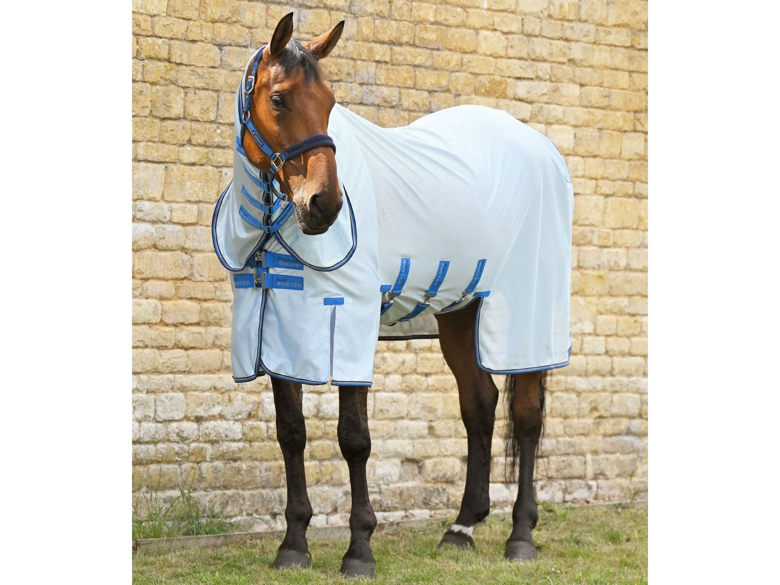 Combo Bug Buster Fly Rug with Belly Flap