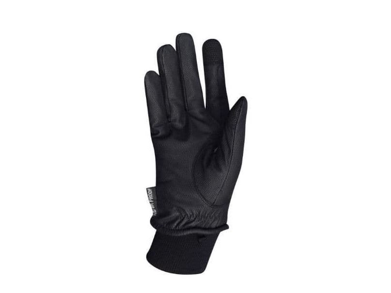 Dublin Synthetic Leather Thinsulate Waterproof Gloves