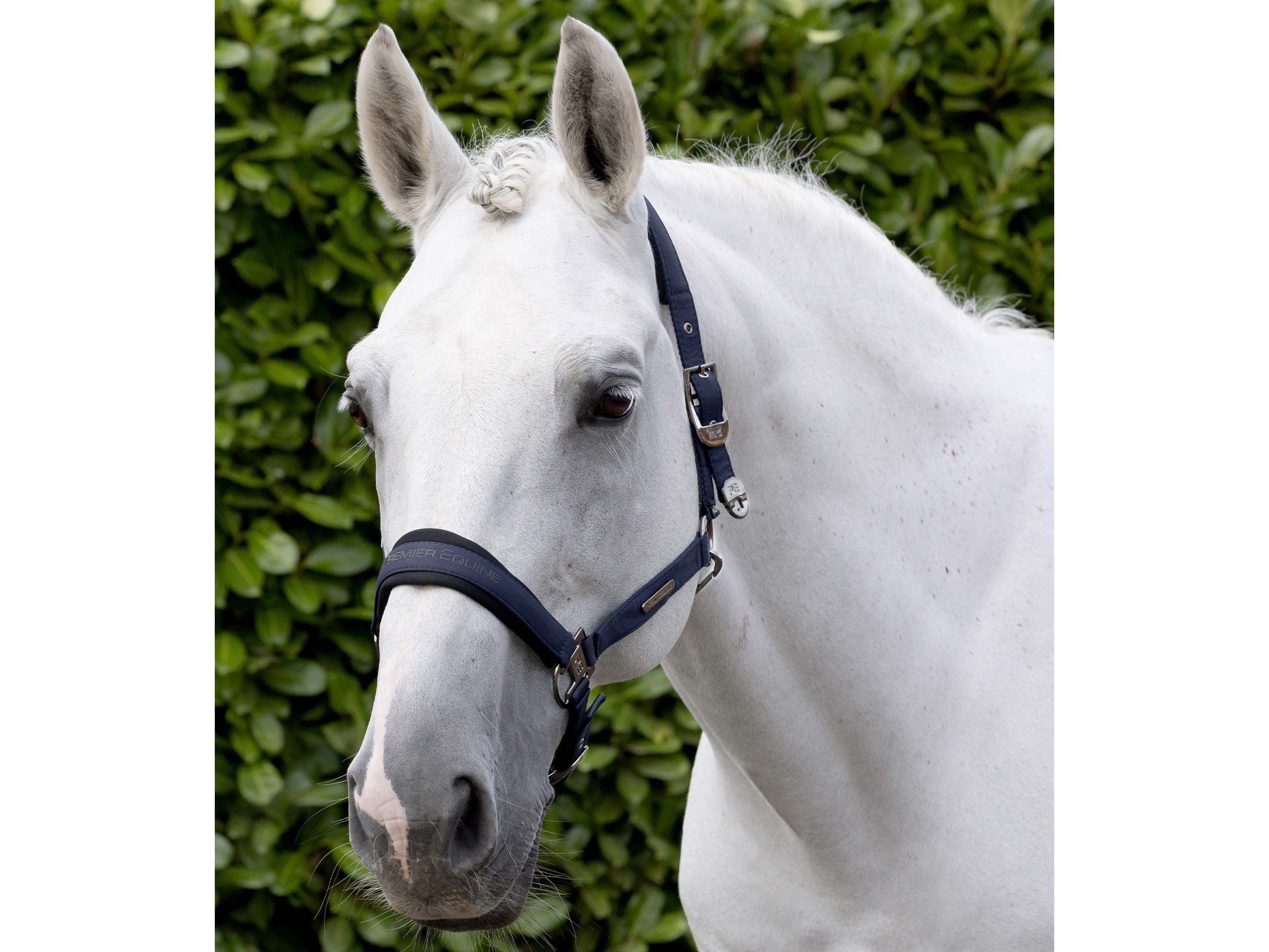 Duco Padded Head Collar With Lead Rope