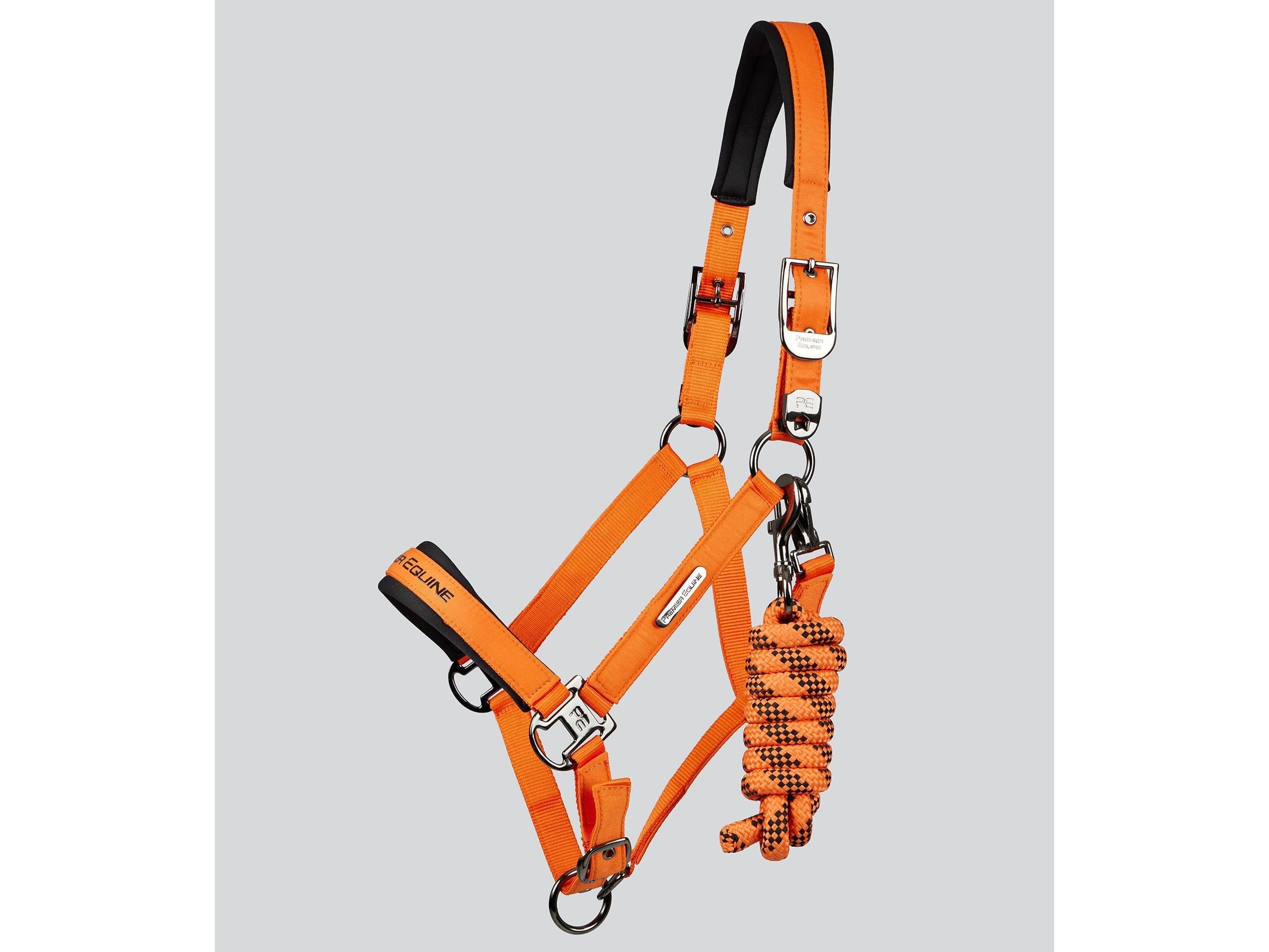 Duco Padded Head Collar With Lead Rope