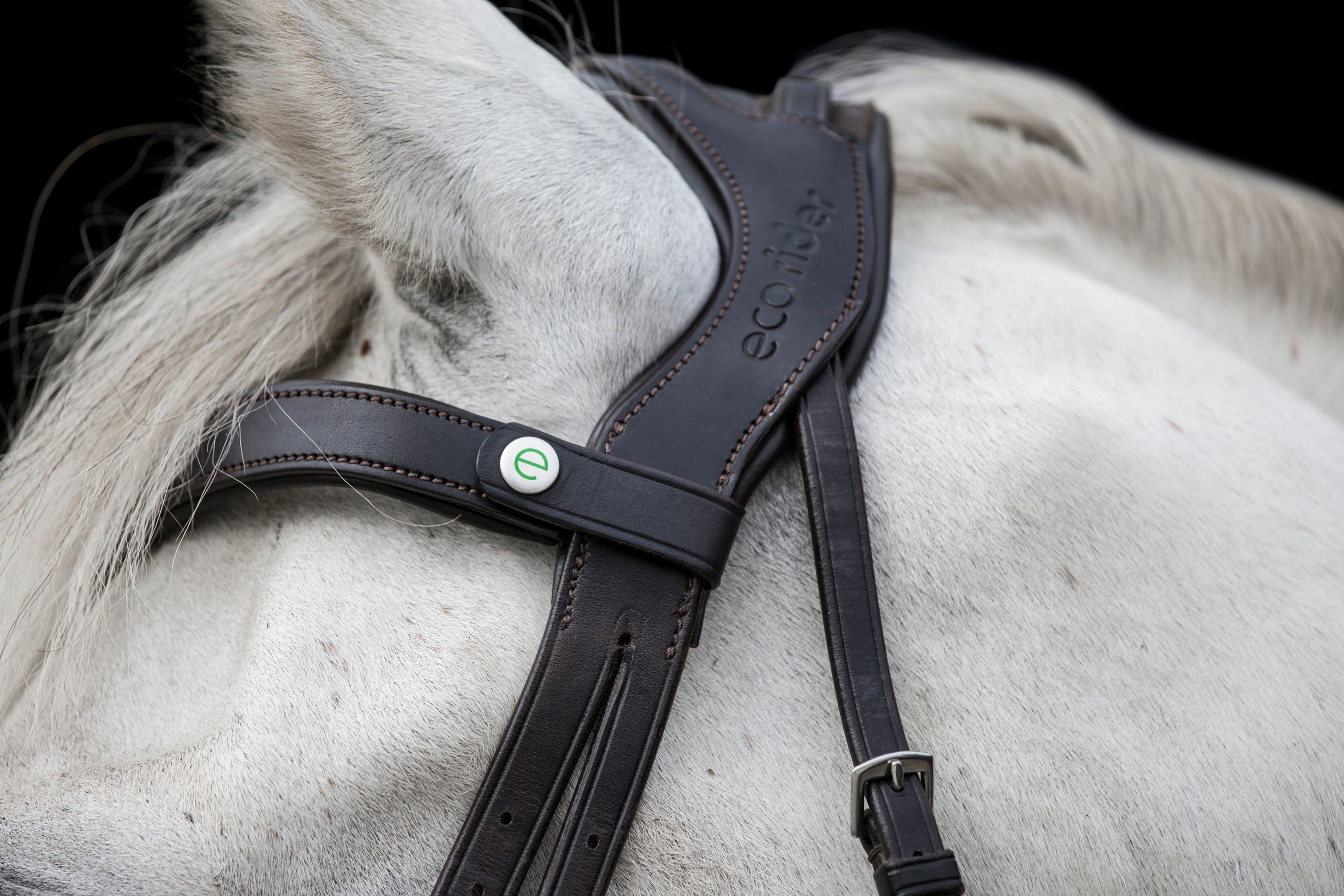 Freedom Comfort Bridle
