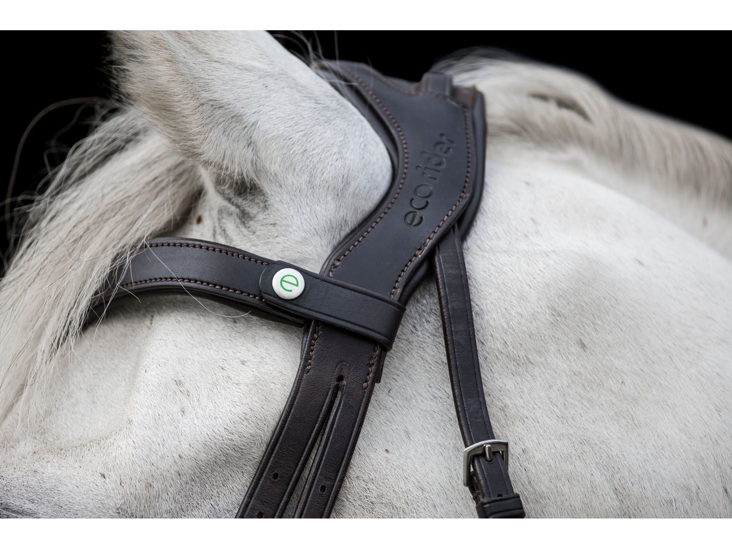 Freedom Comfort Bridle angled view
