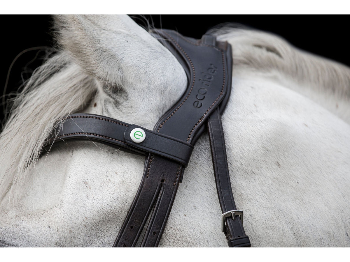 Freedom Comfort Bridle angled view
