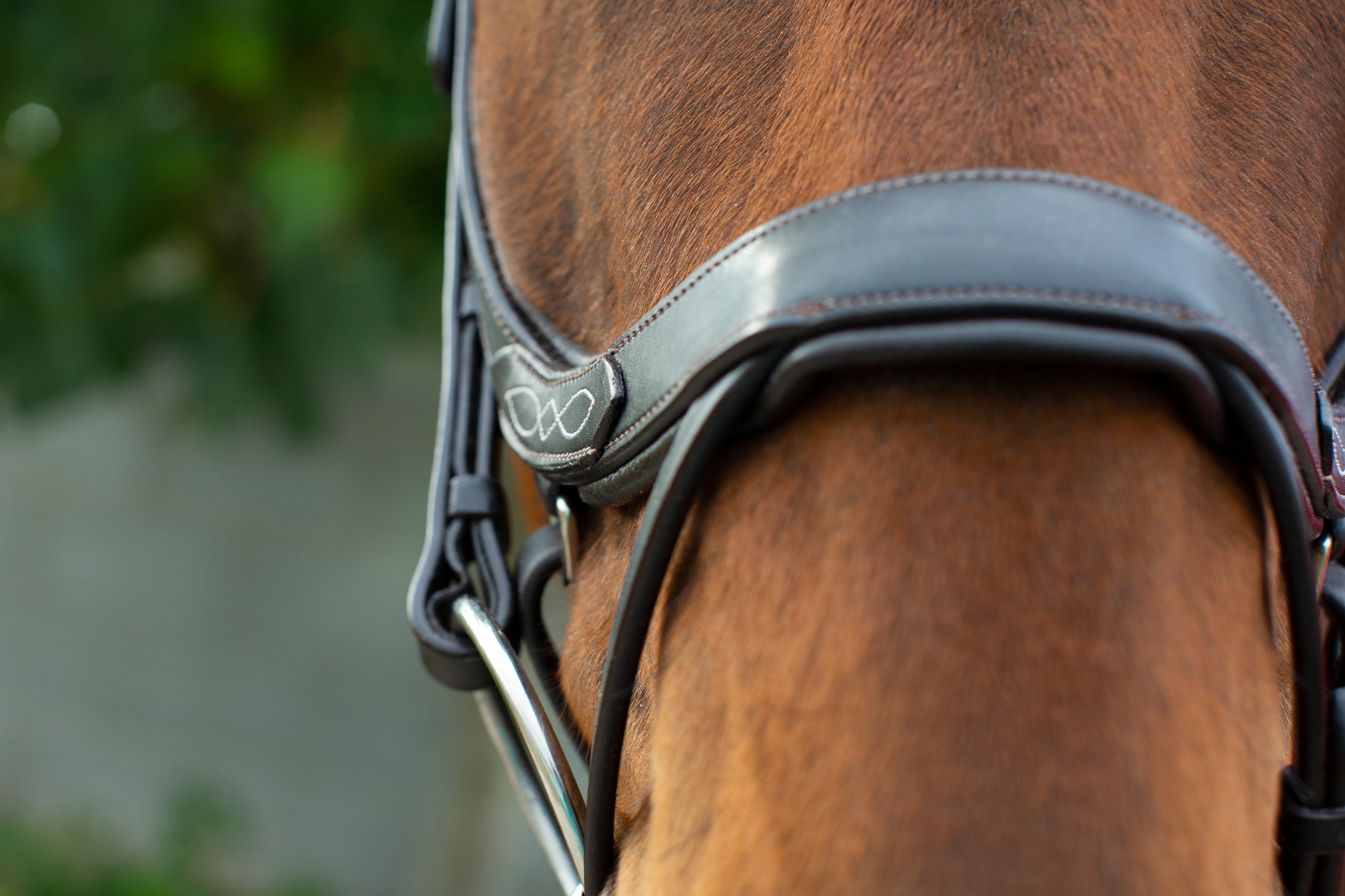 Freedom Comfort Bridle