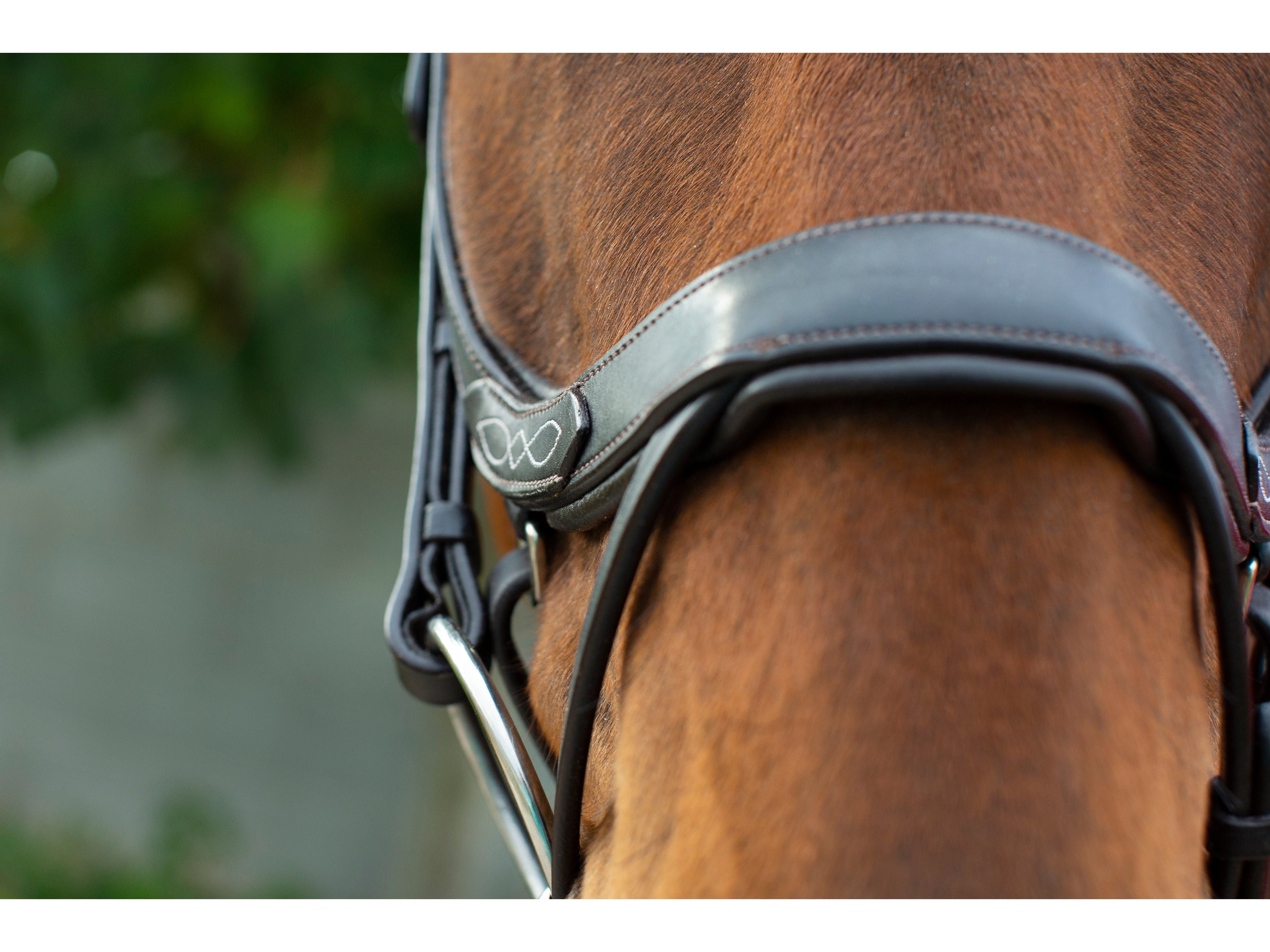 Freedom Comfort Bridle view