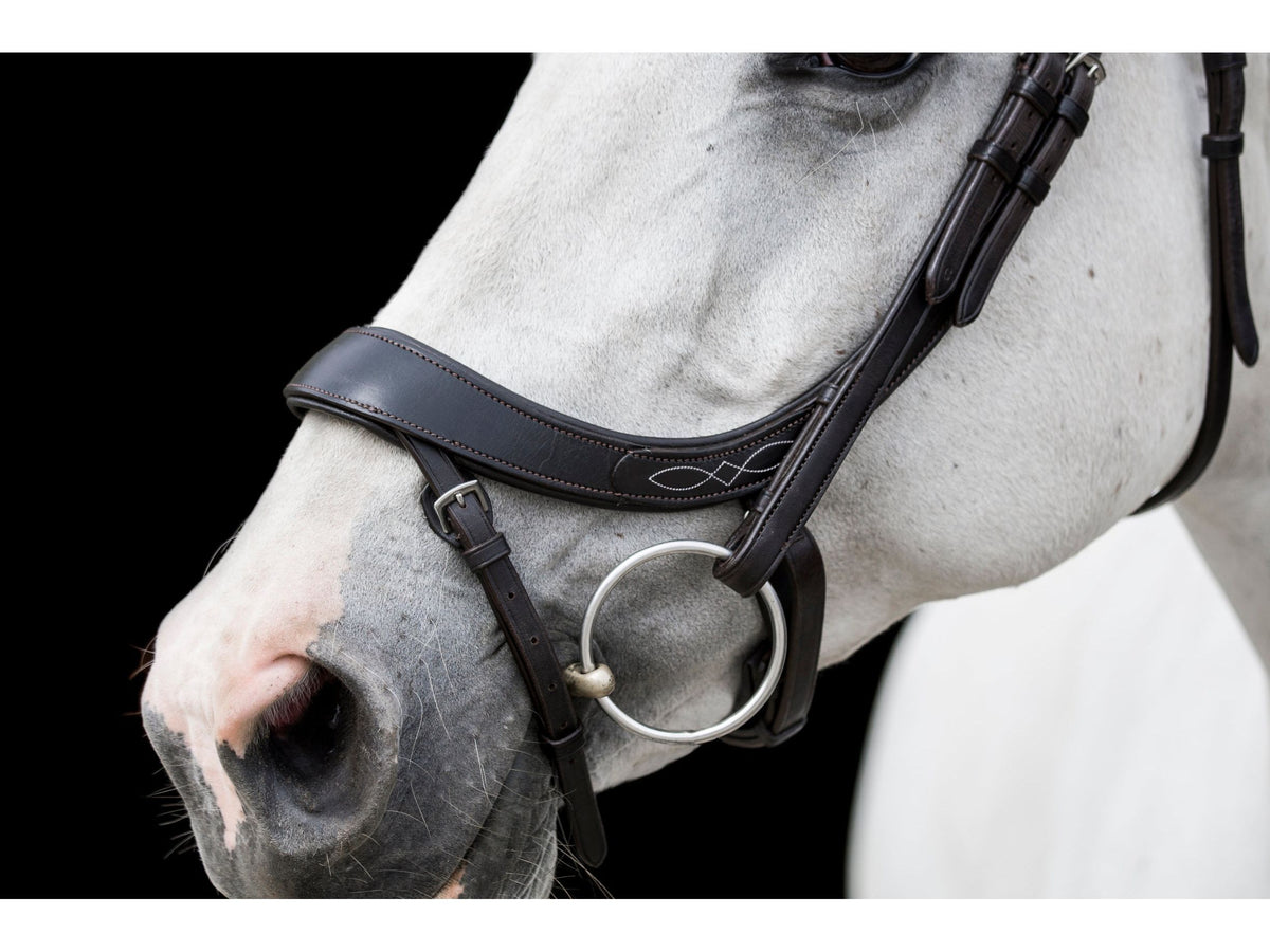 Freedom Comfort Bridle close-up