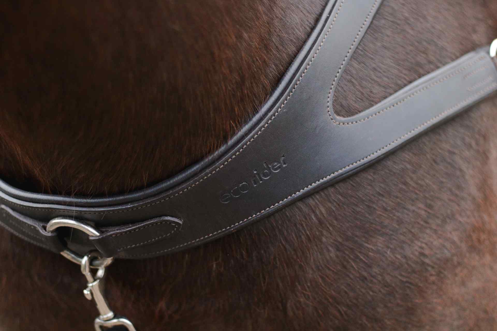 Freedom Breastplate