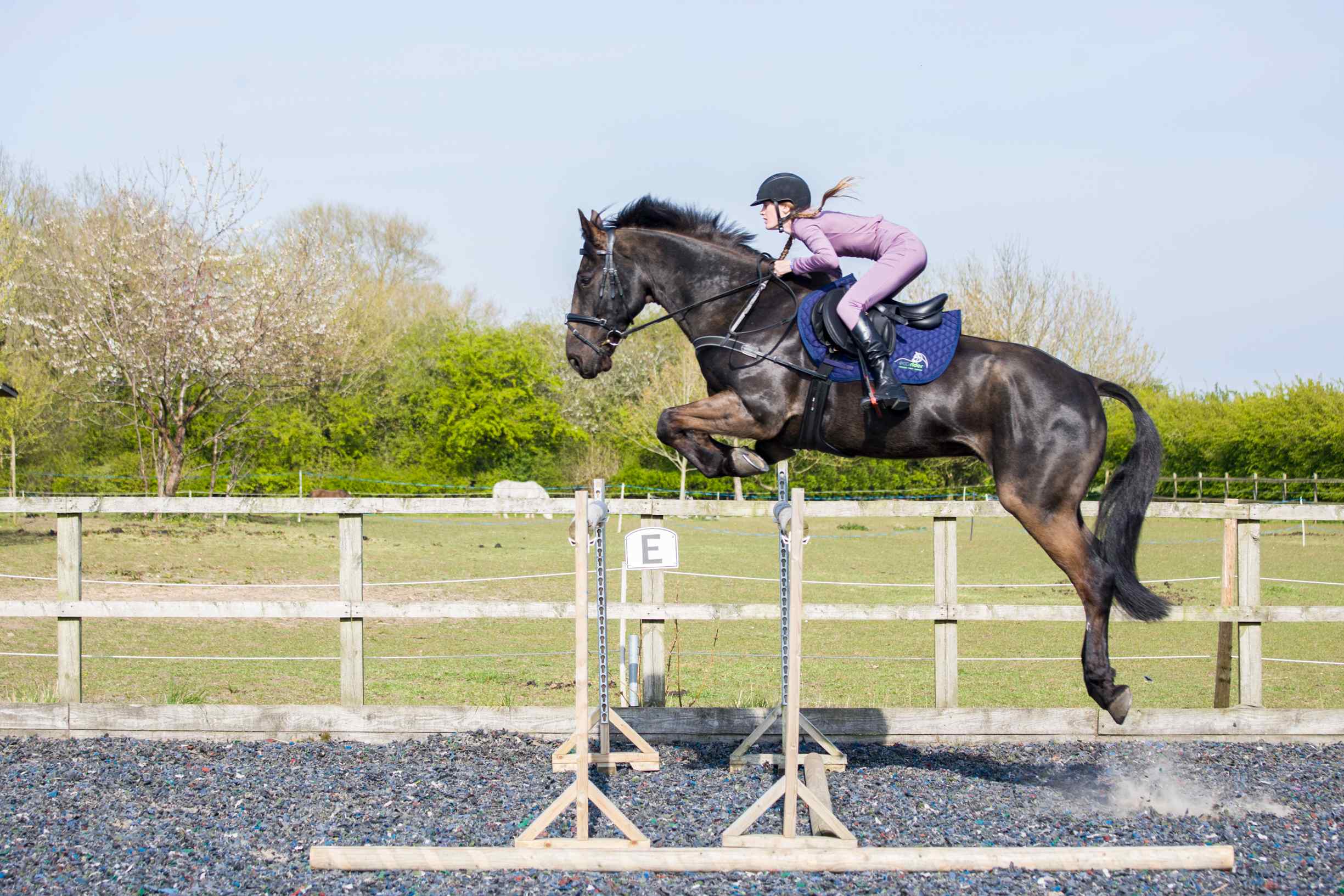 Freedom Jump Saddle