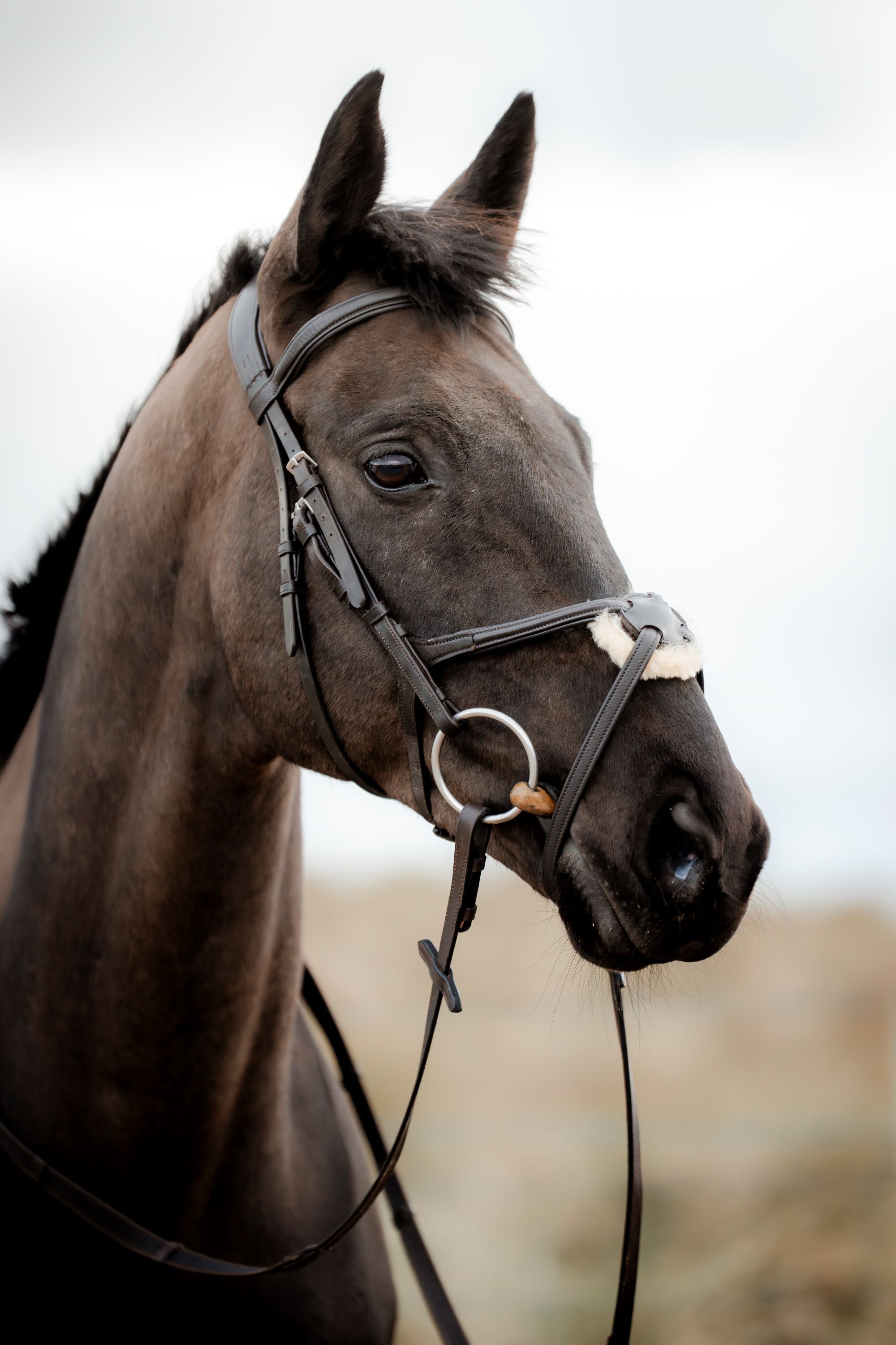 SuperLux Grackle Bridle