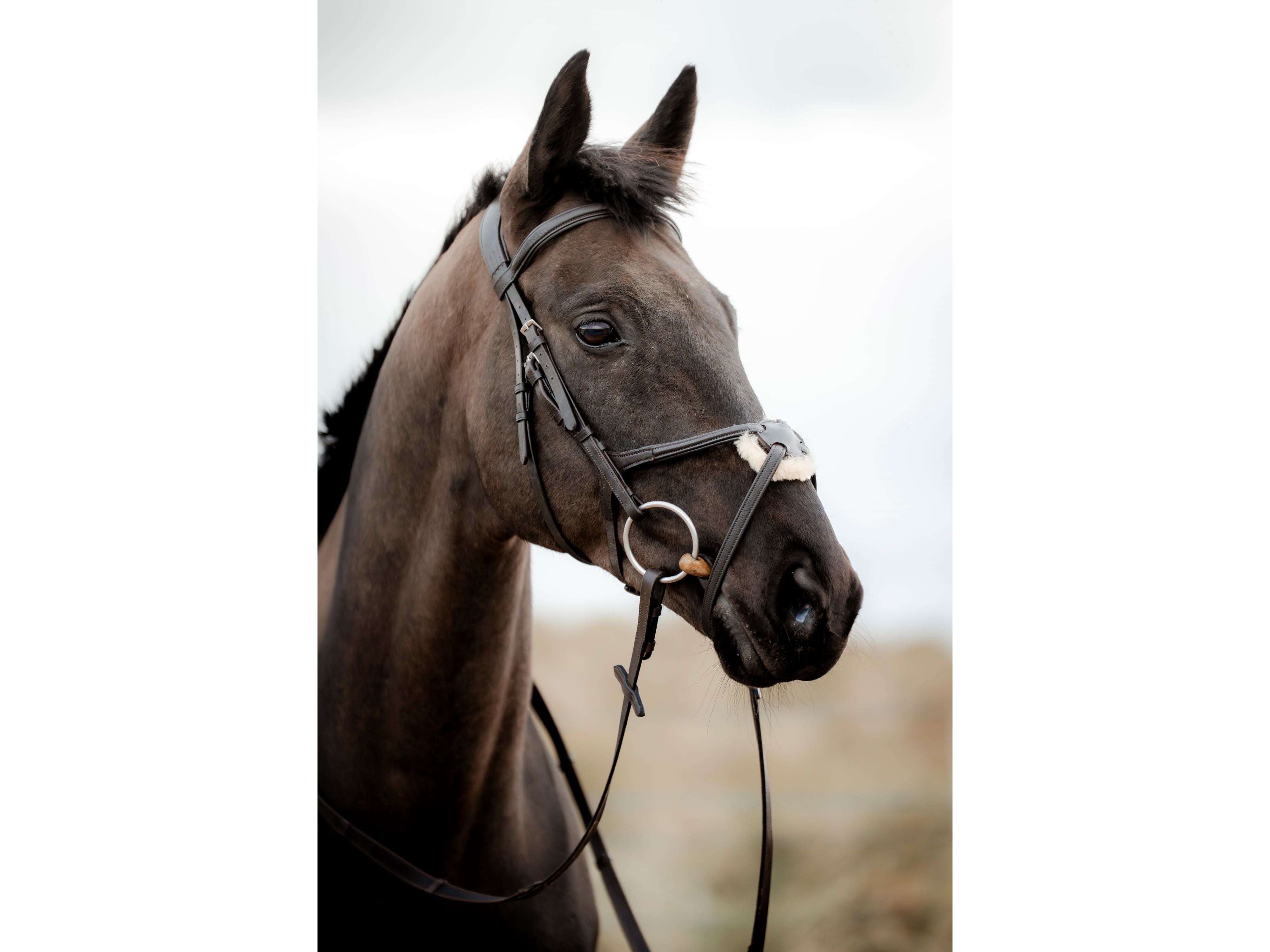 SuperLux Grackle Bridle view