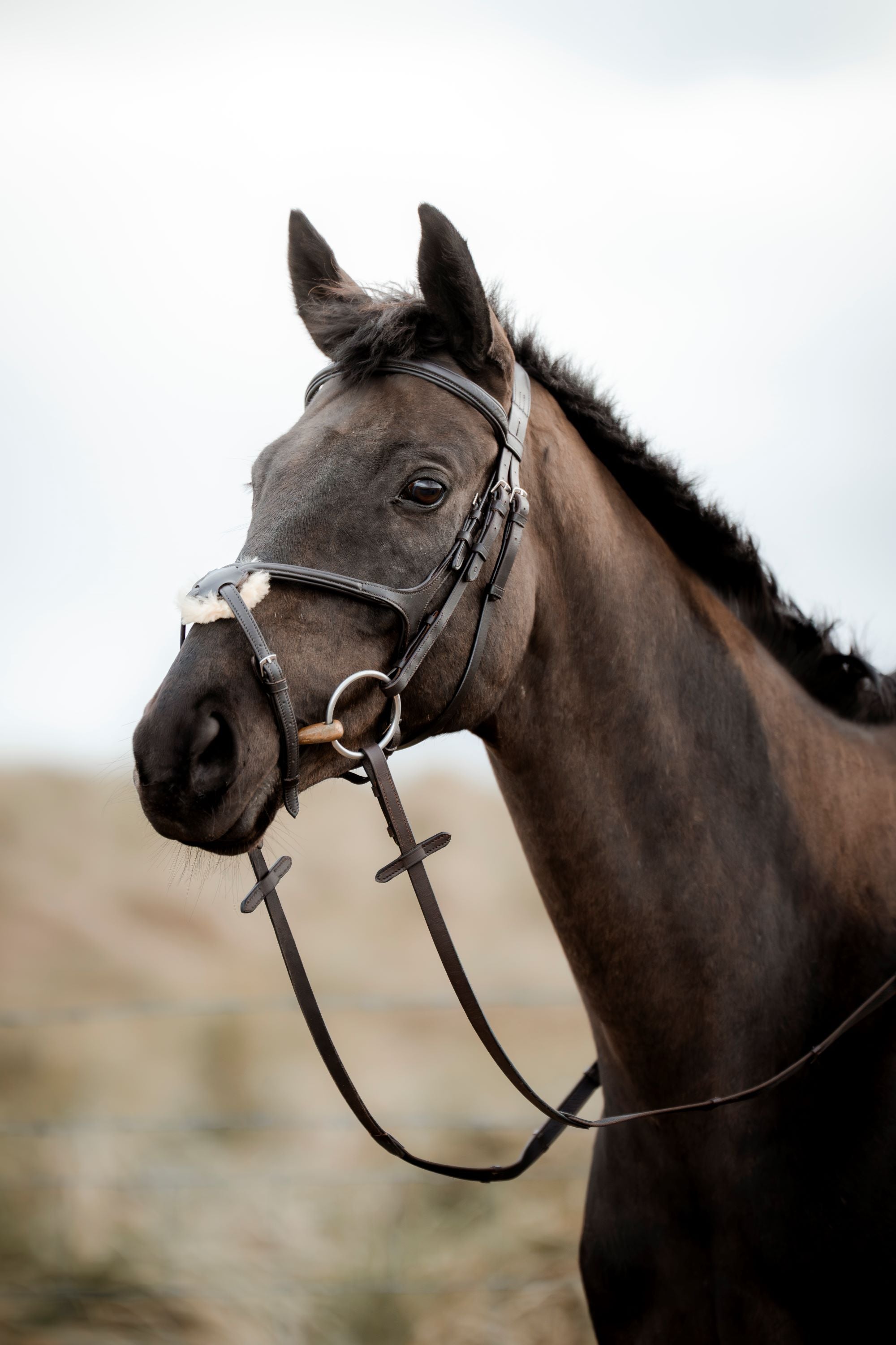 SuperLux Grackle Bridle