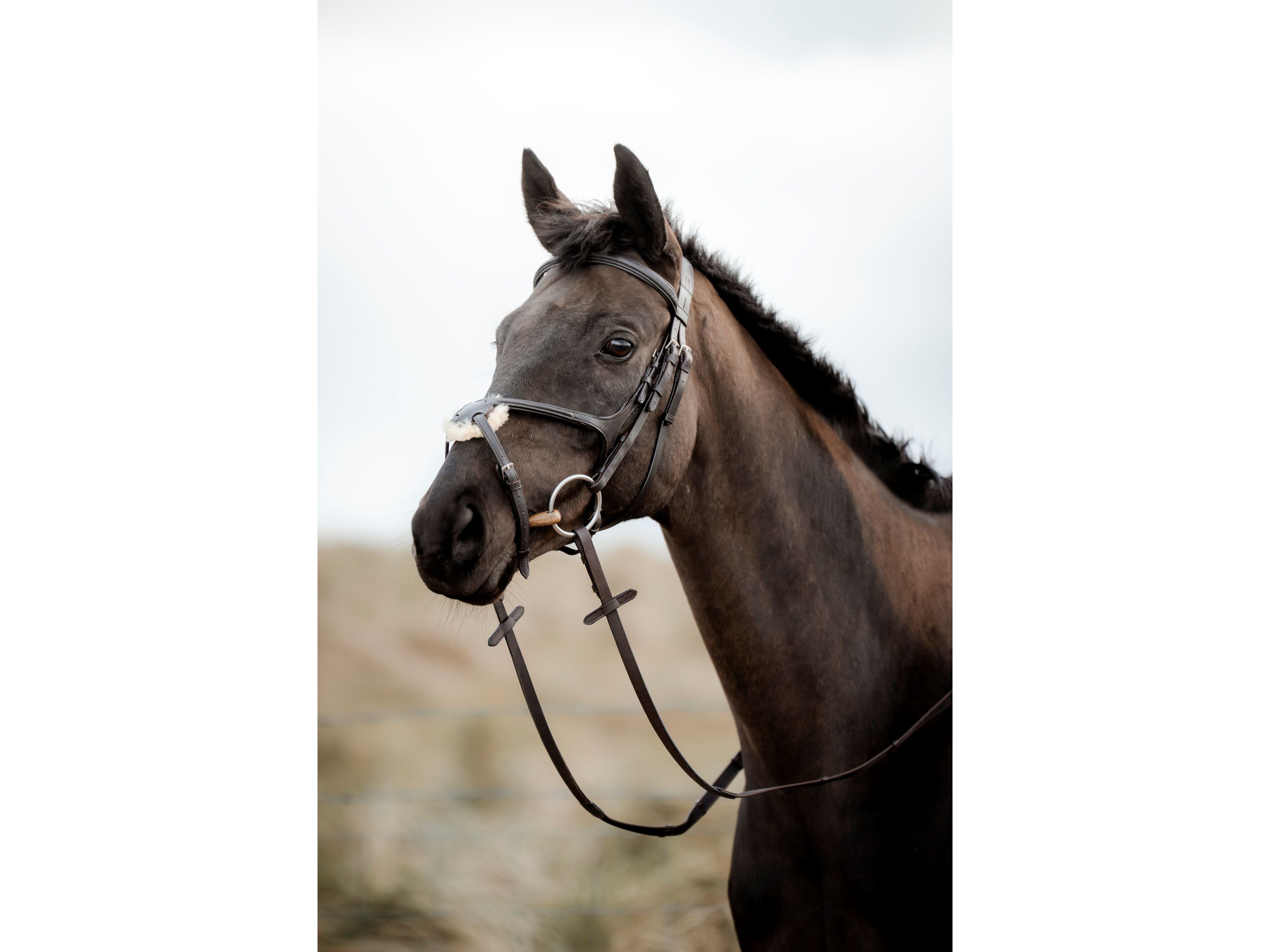 SuperLux Grackle Bridle close-up