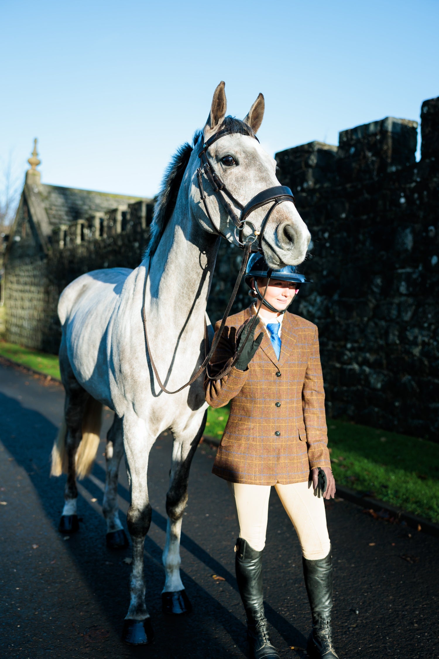 SeamFree Show Bridle