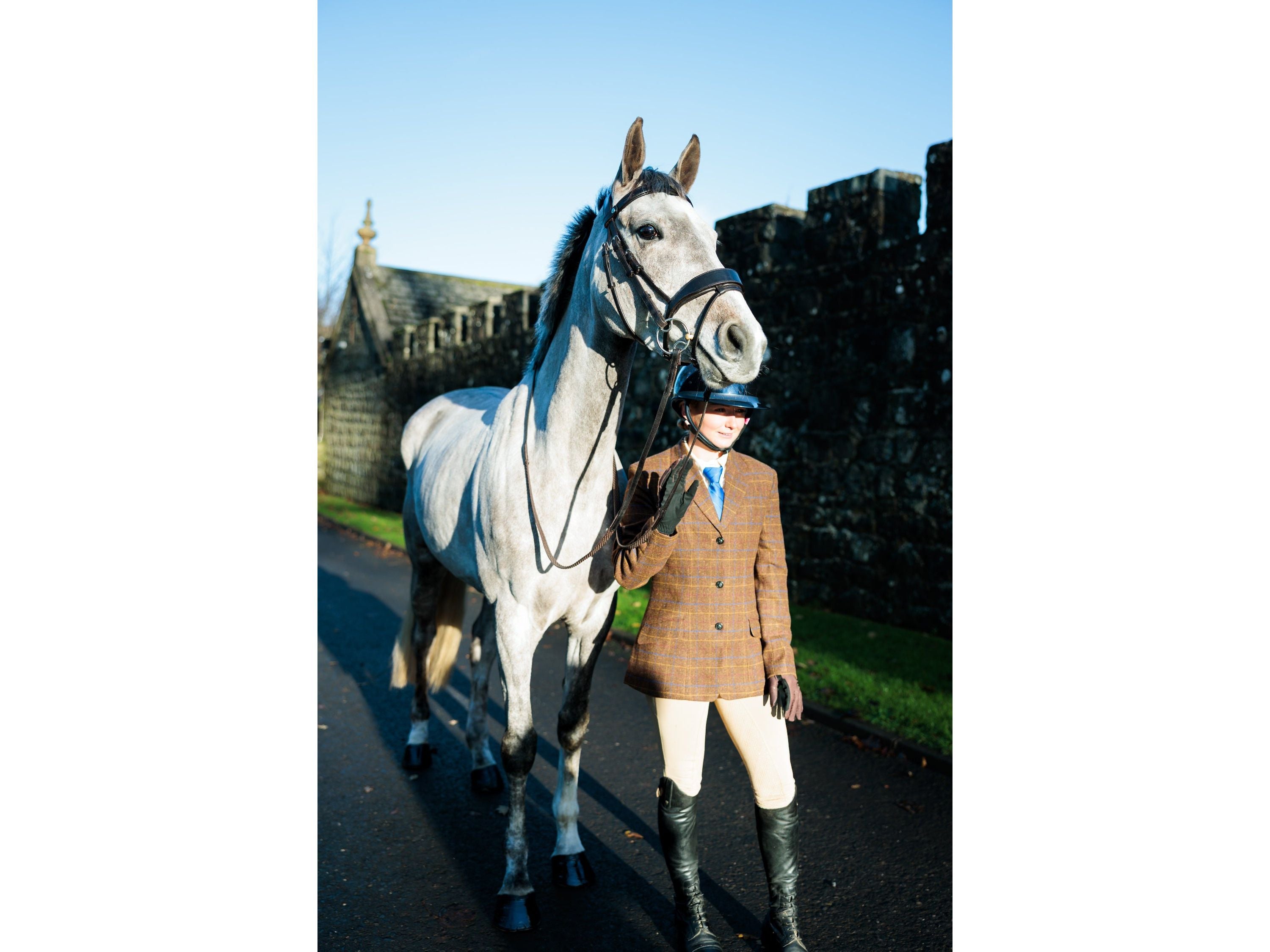 SeamFree Show Bridle side view