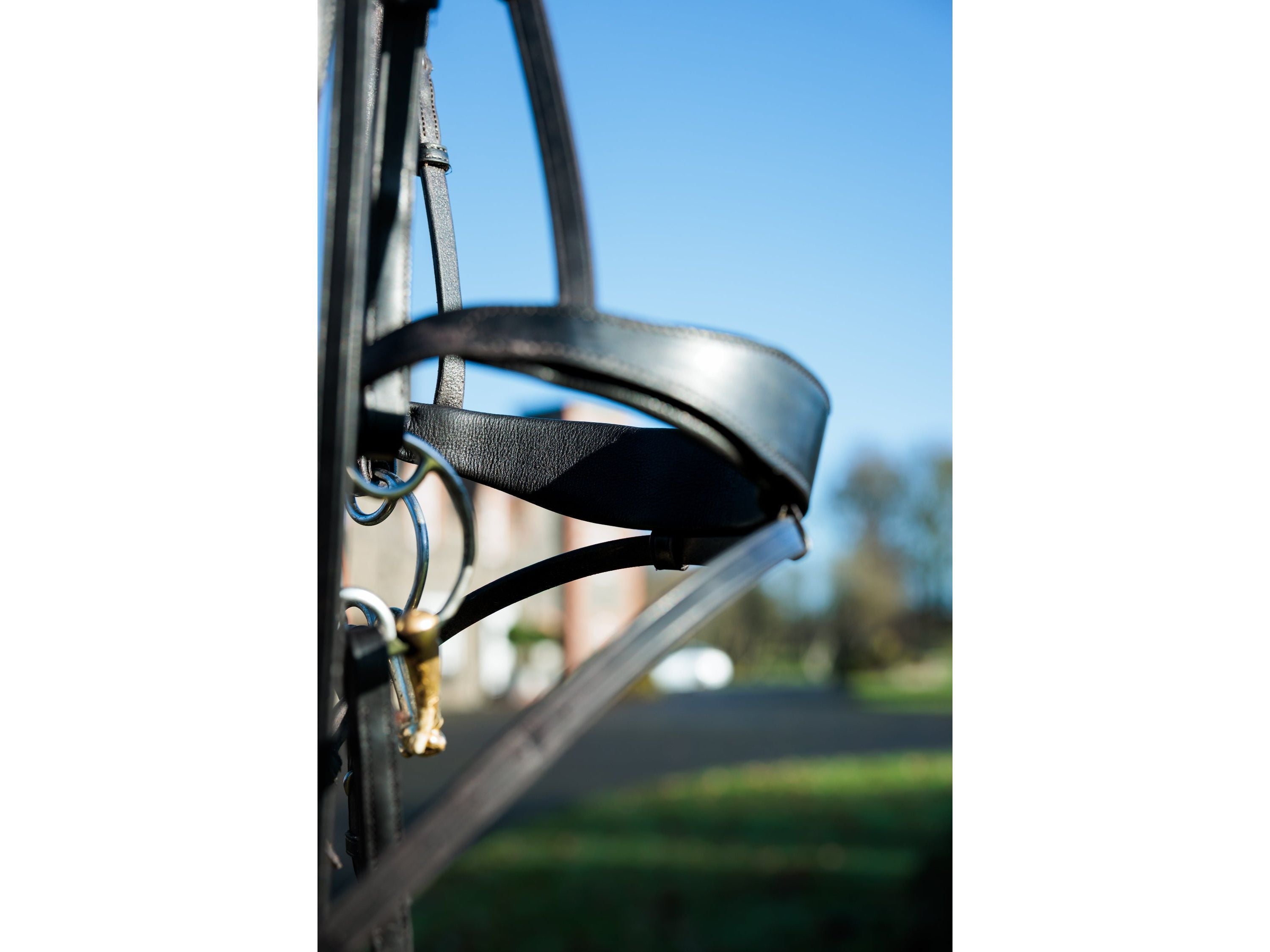 SeamFree Show Bridle view
