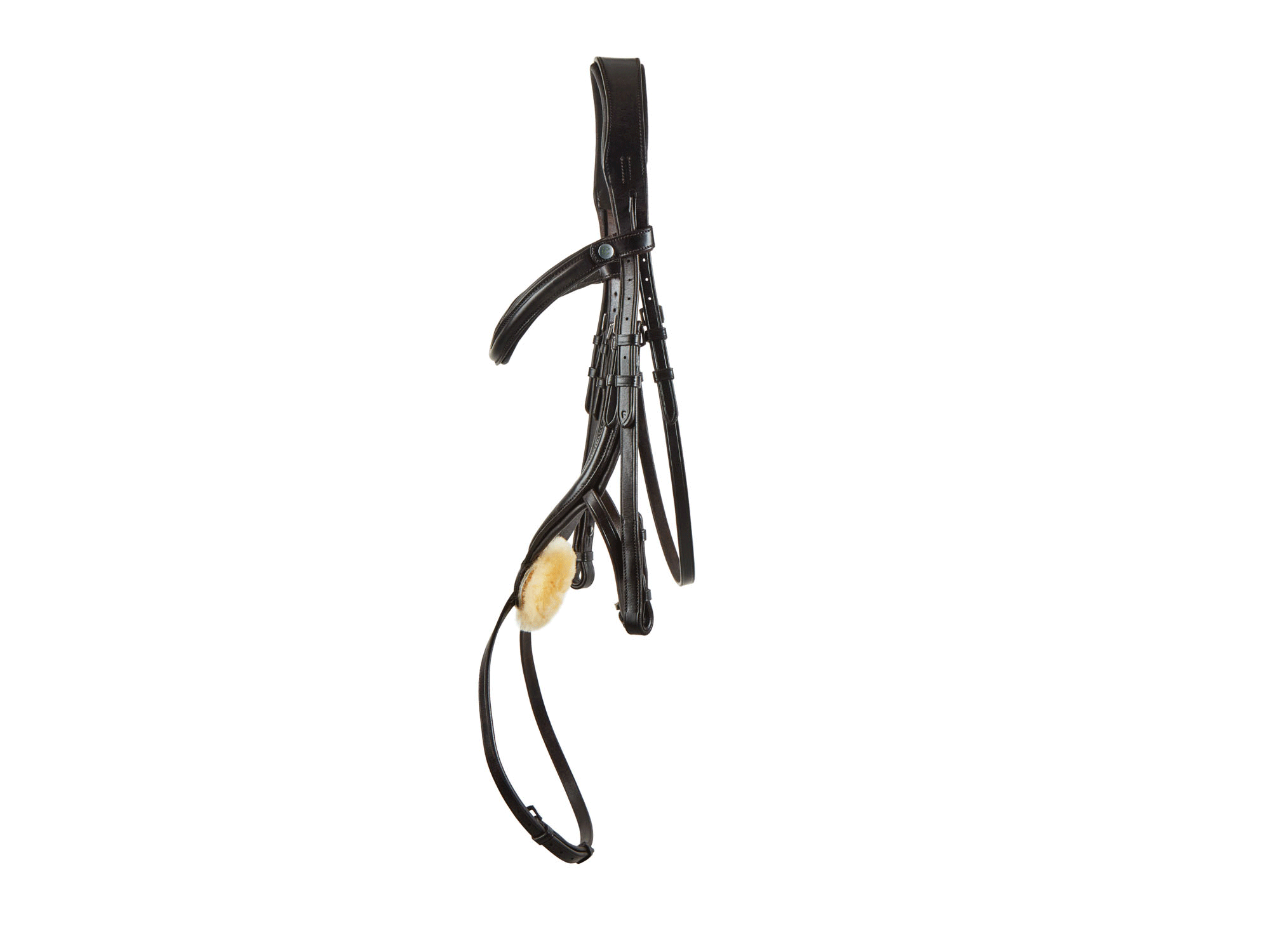 SeamFree Grackle Bridle main view