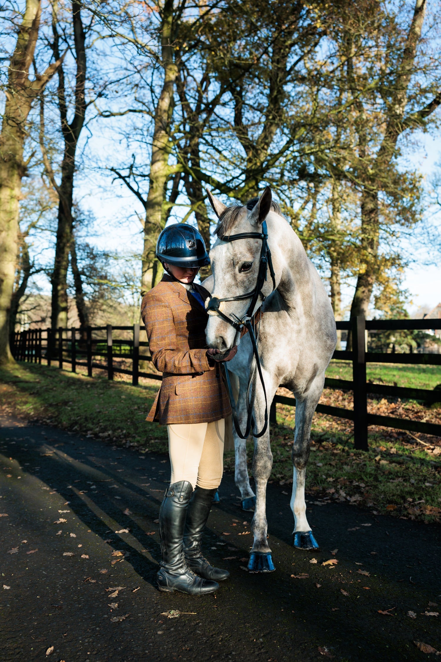 SeamFree Grackle Bridle