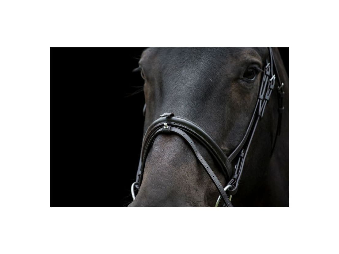 EcoRider Classic Comfort Bridle