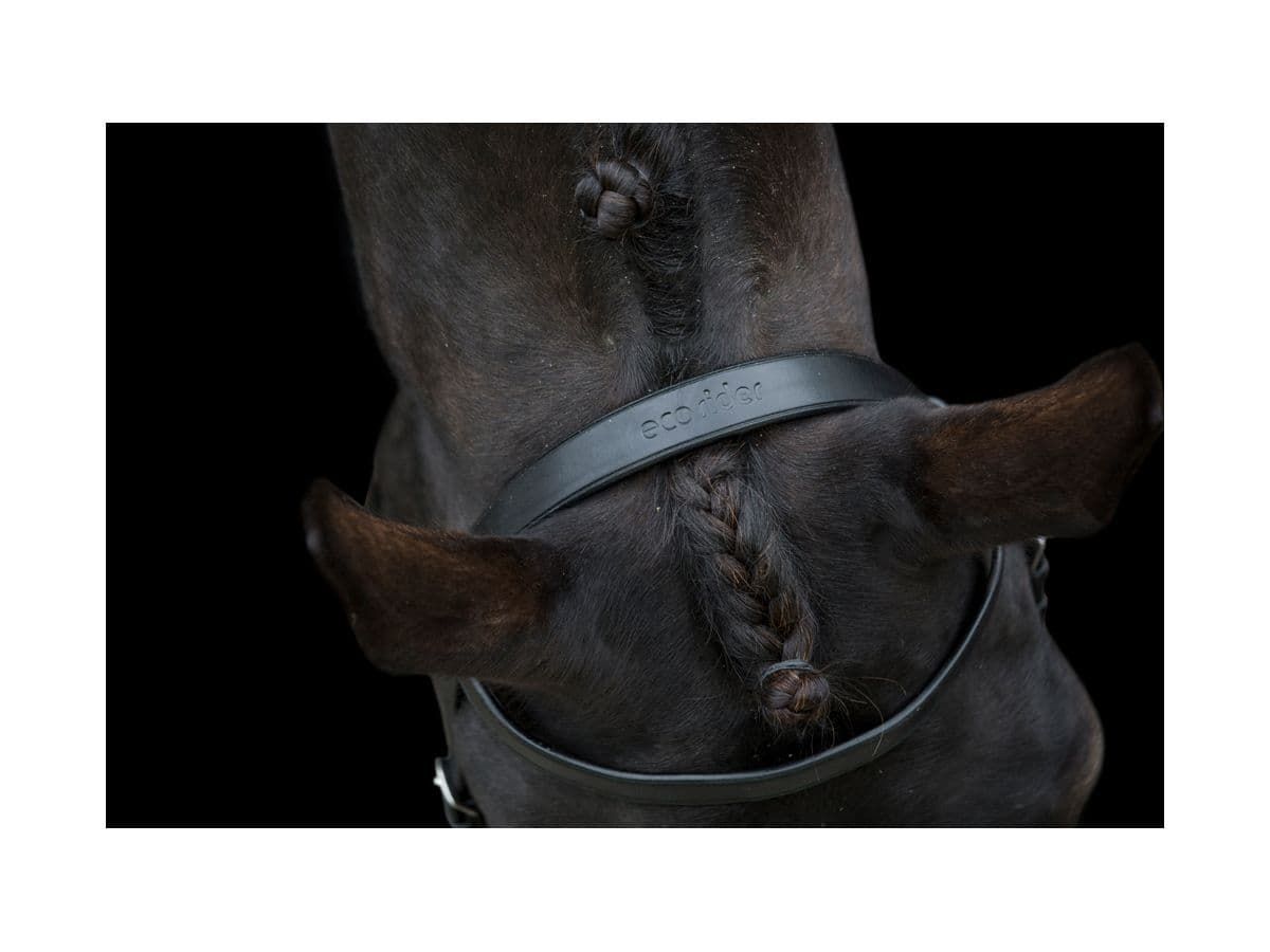 EcoRider Classic Show Bridle detail view