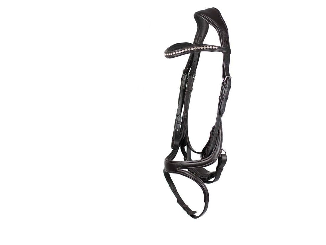 EcoRider Ecosoft Acclaim Bridle detail view