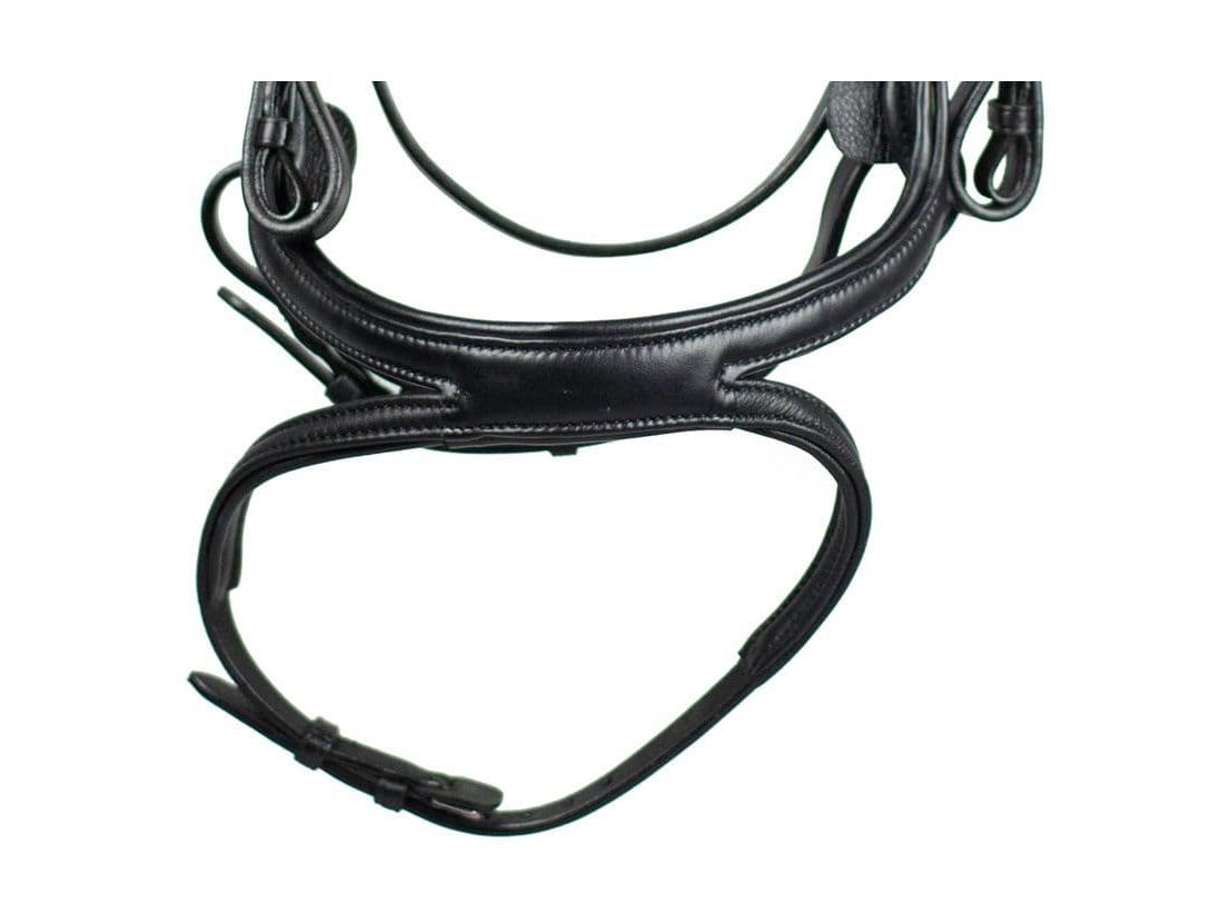 EcoRider Ecosoft Acclaim Bridle angled view