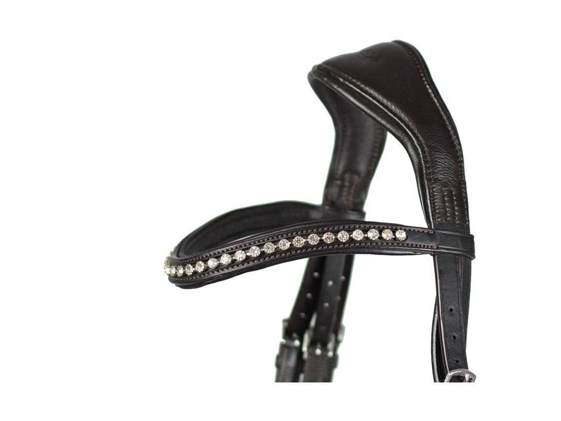 EcoRider Ecosoft Acclaim Bridle close-up