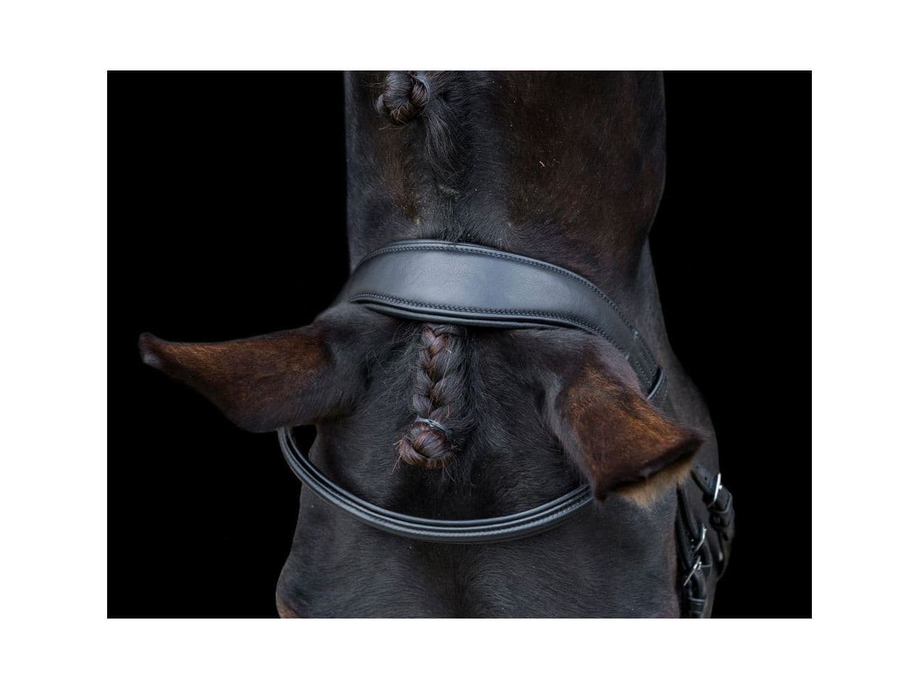 EcoRider Ecosoft Finesse Bridle