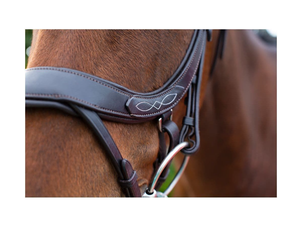 EcoRider Freedom Comfort Bridle