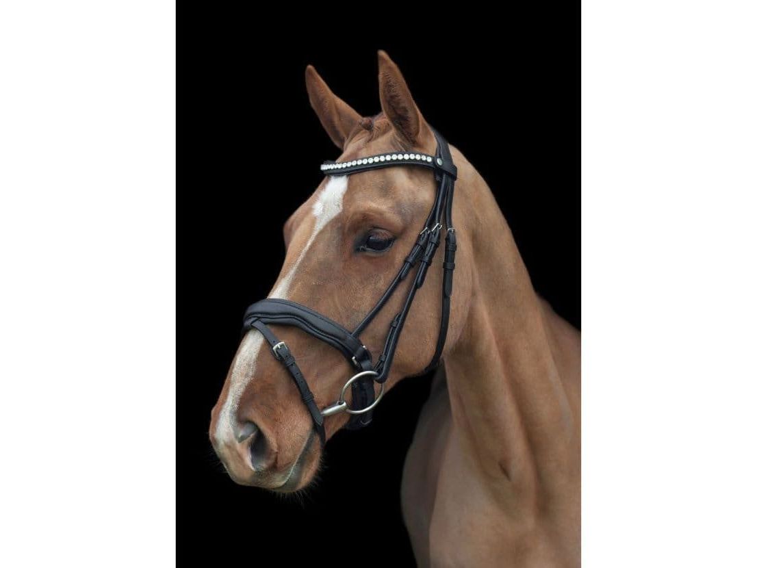EcoRider Ultra Comfort Navan Bridle