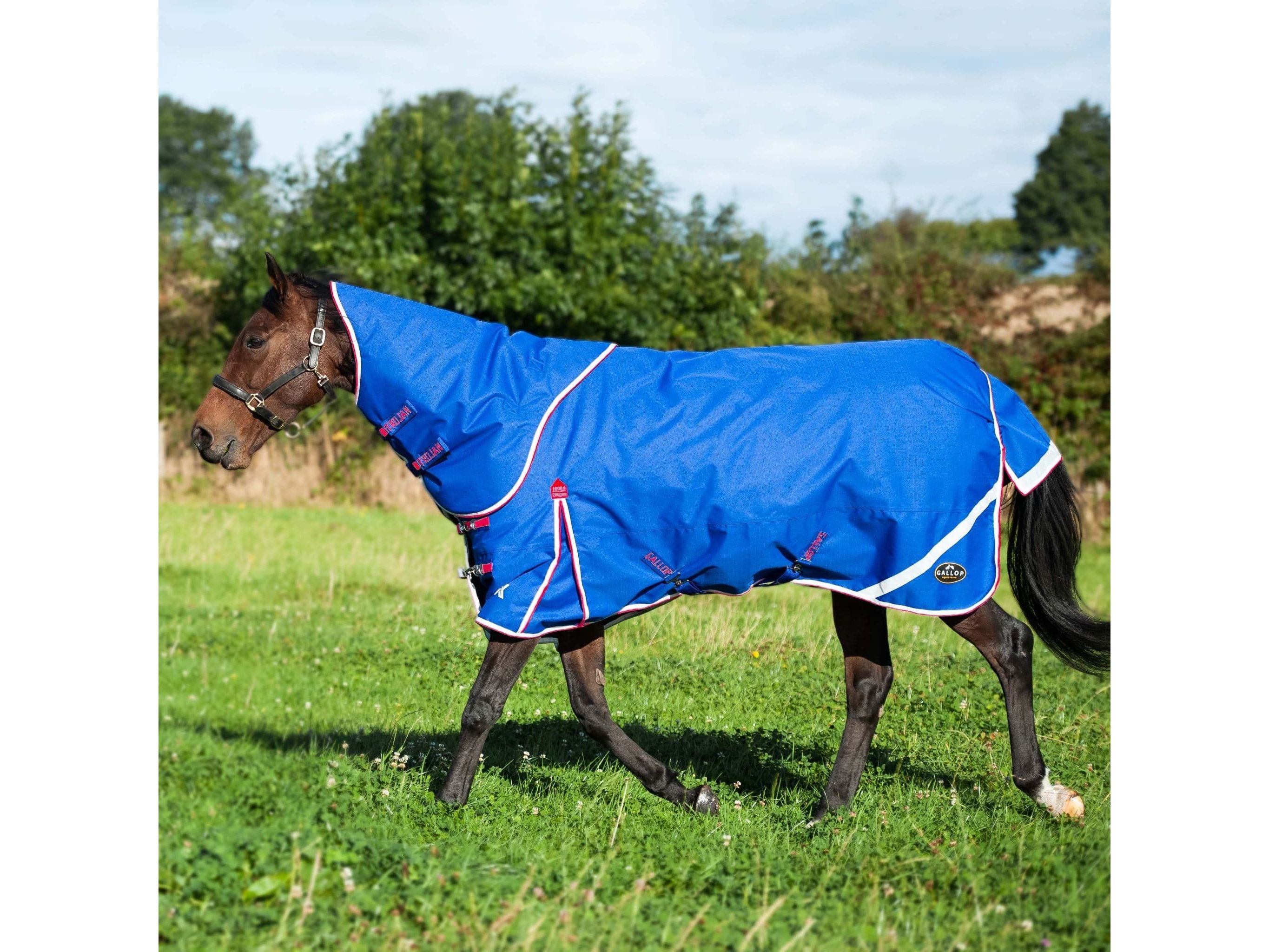 Gallop Trojan Xtra 200g Dual Turnout Rug & Neck Set RRP £76.50