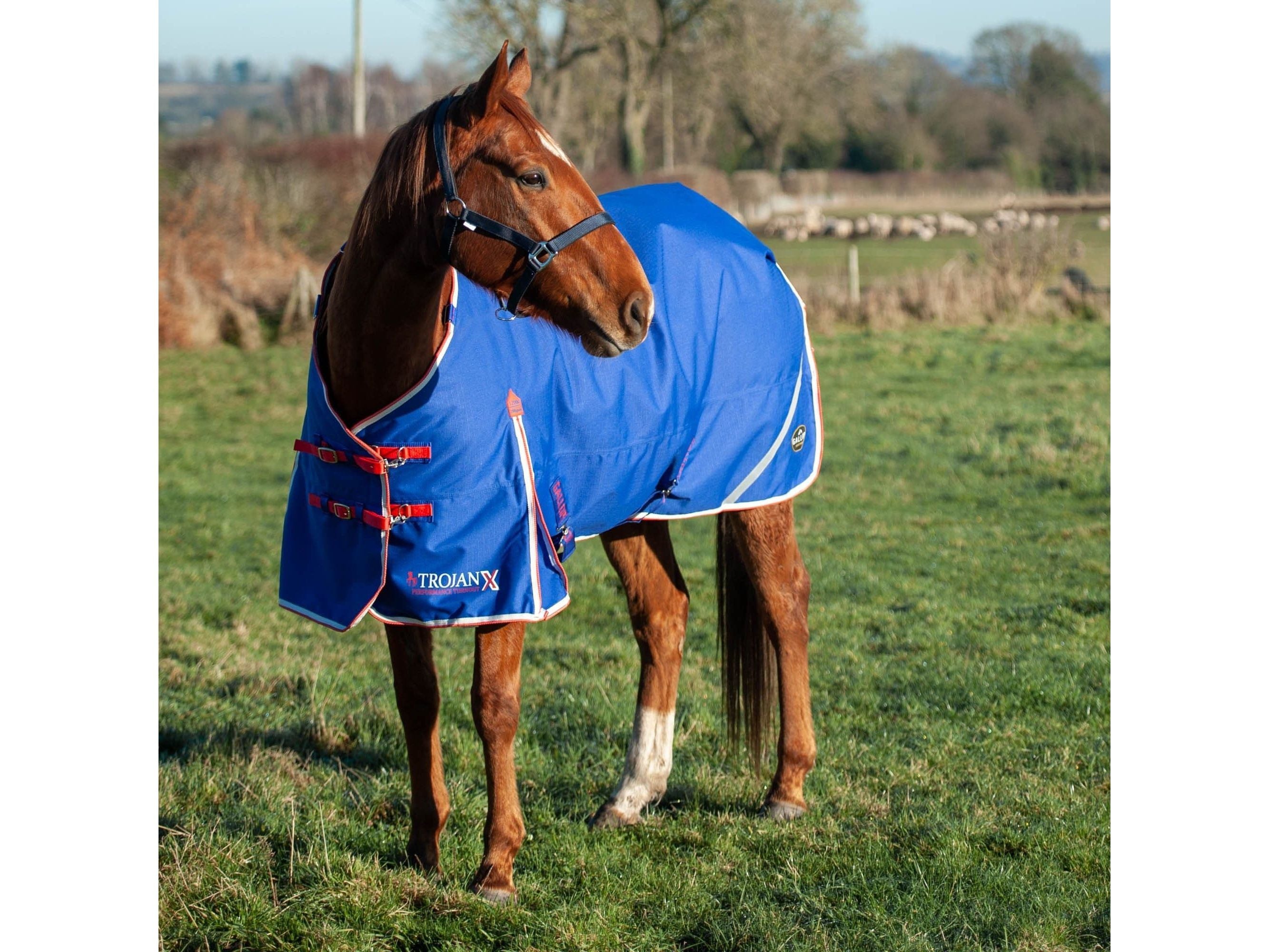 Gallop Trojan Xtra 200g Dual Turnout Rug & Neck Set RRP £76.50