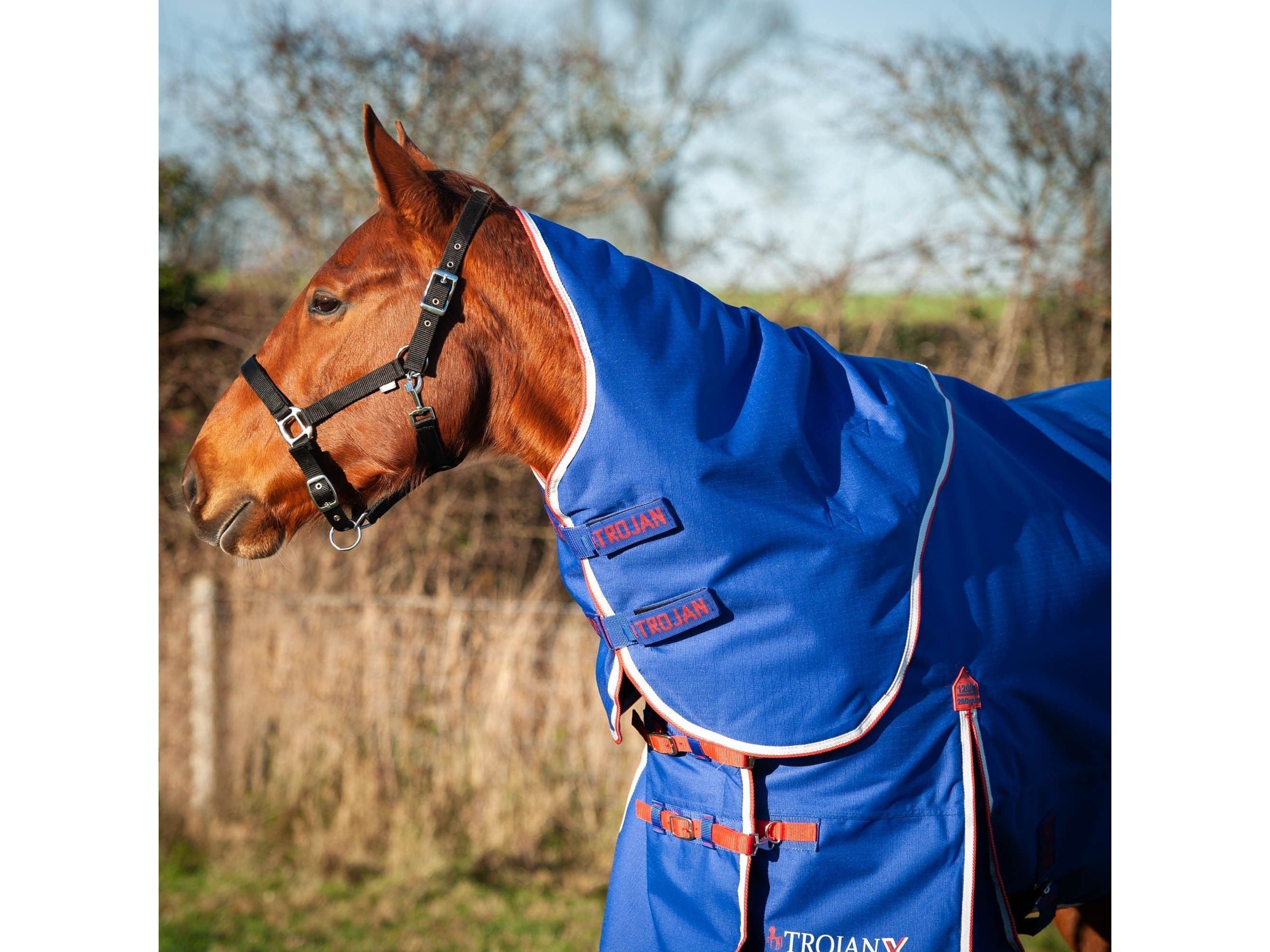 Gallop Trojan Xtra 200g Dual Turnout Rug & Neck Set RRP £76.50