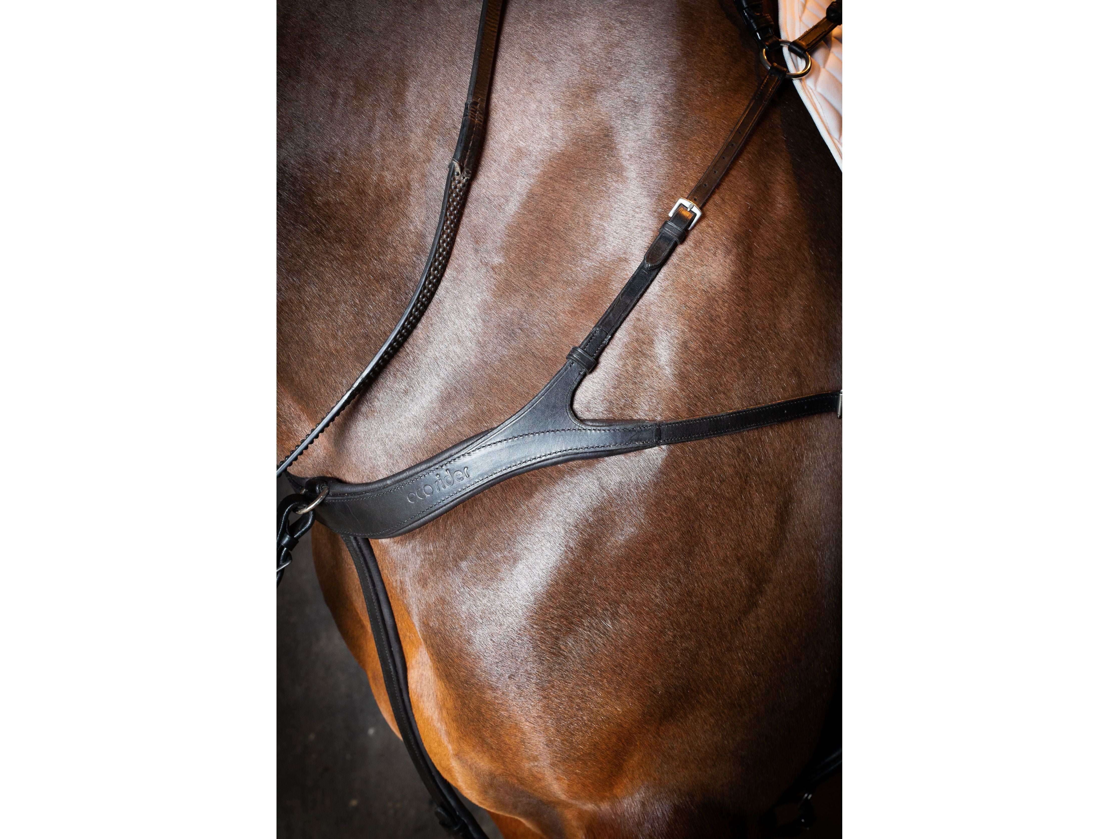 Tara Breastplate side view