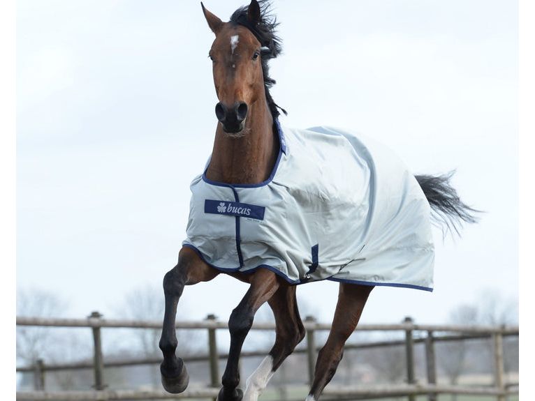 Bucas Power Turnout Light Big Neck RRP £231.00