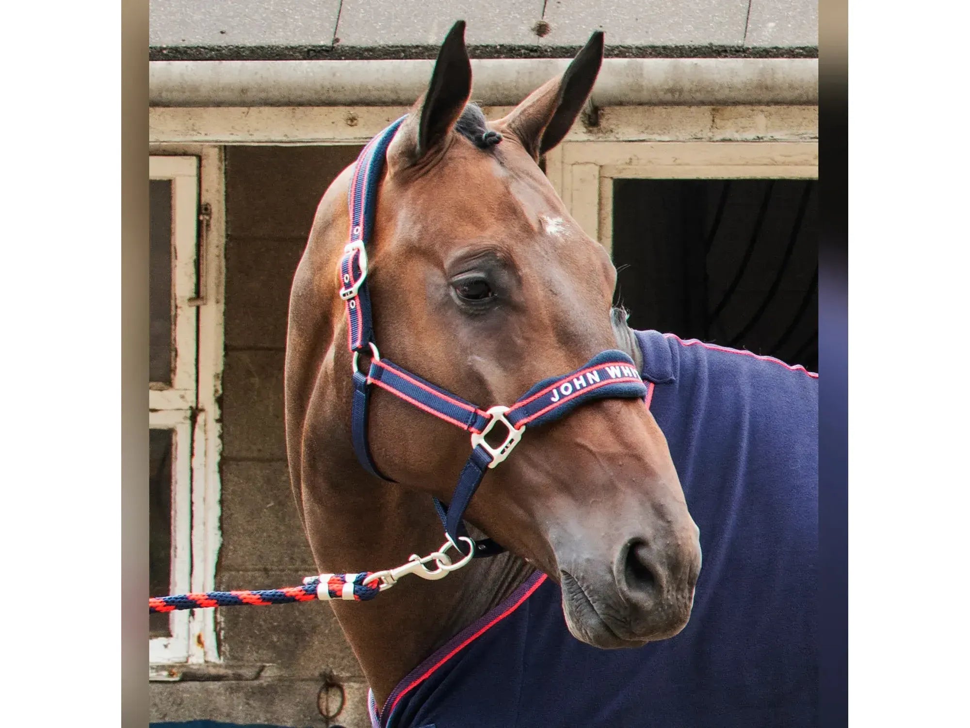 John Whitaker Airflow Head Collar with Leadrope Set