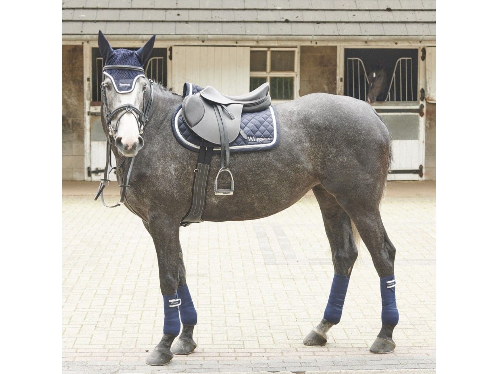 John Whitaker Argento Showjumping Saddle