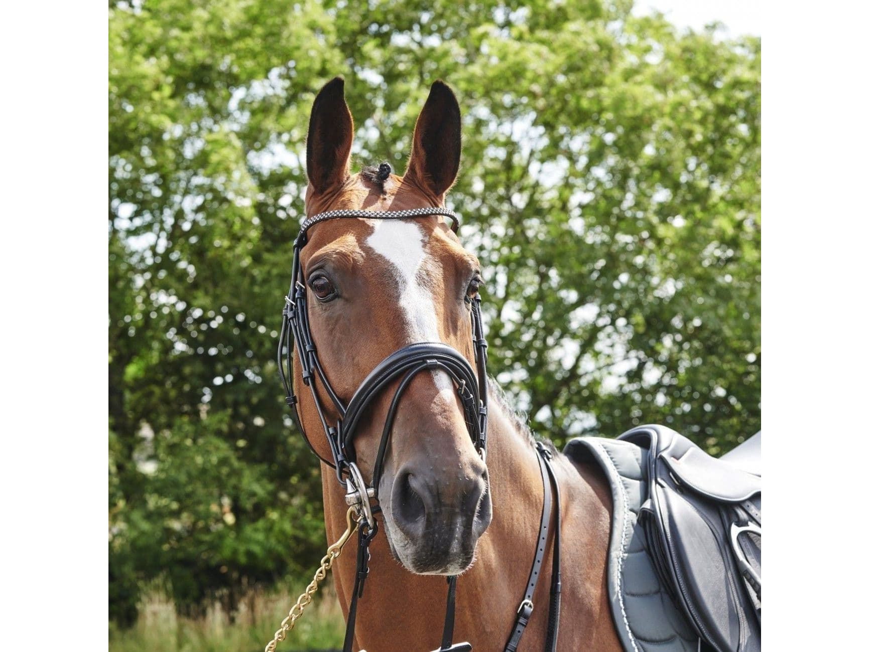 John Whitaker Barton Bling Flash Bridle (inc Rubber Reins)