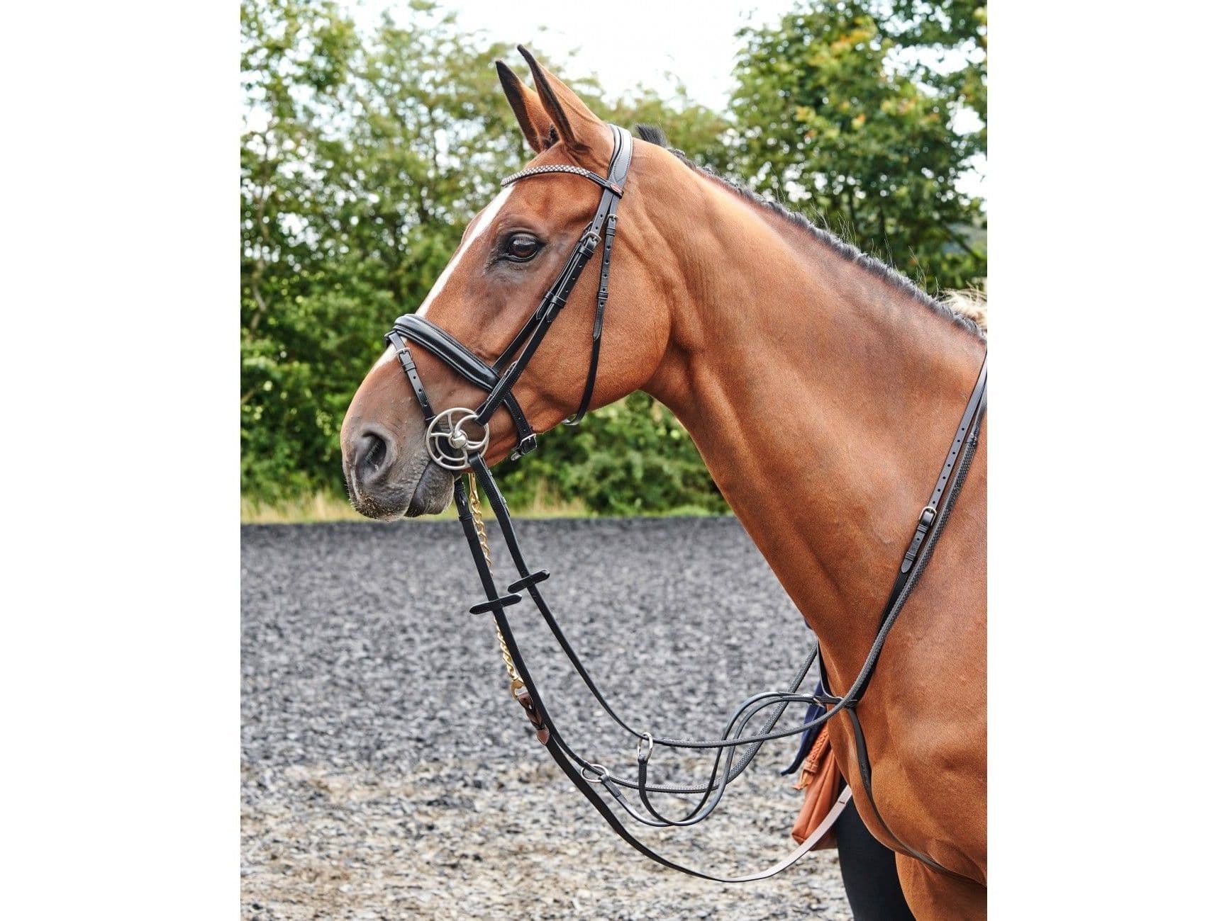John Whitaker Barton Raised Flash Bridle (inc Rubber Reins)