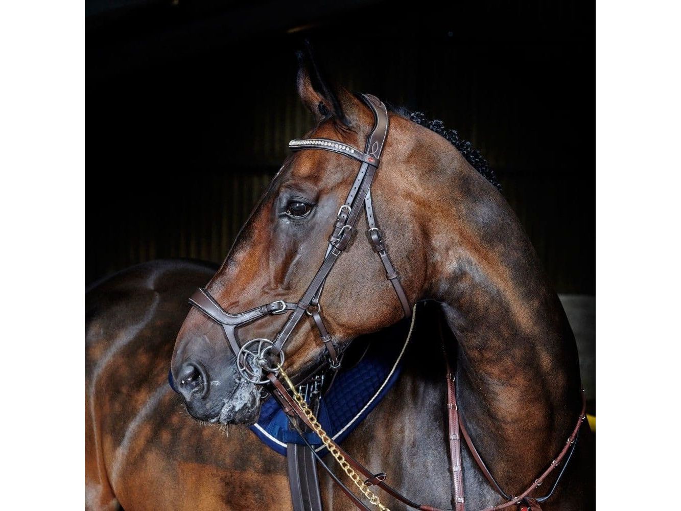 John Whitaker Chicago Anatomic Breathable Bridle with Reins