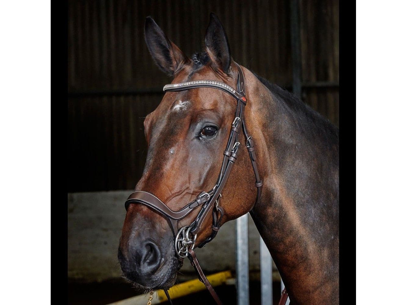 John Whitaker Chicago Anatomic Breathable Bridle with Reins