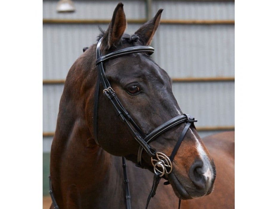 John Whitaker Chicago Breathable Leather Bridle with Bling Browband Reins