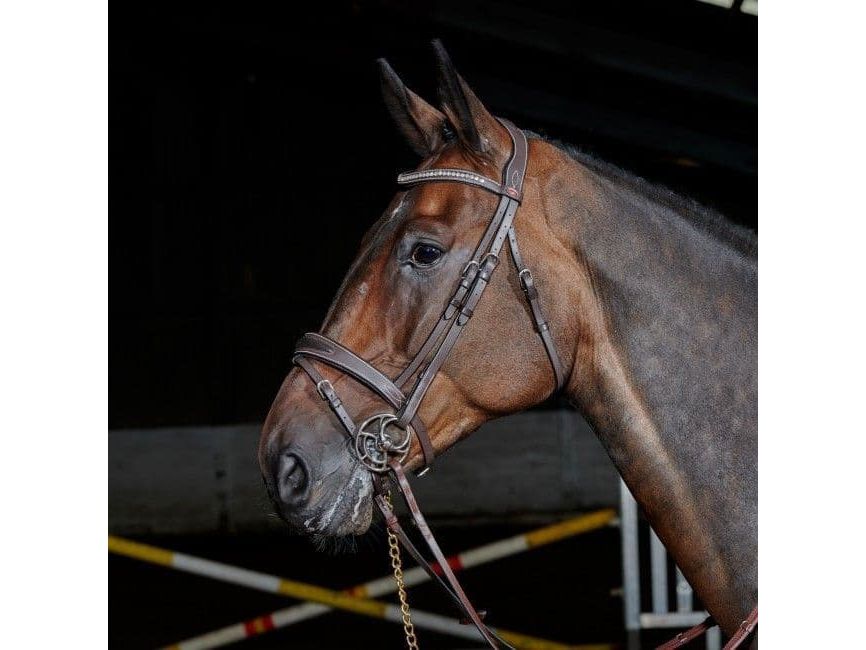 John Whitaker Chicago Breathable Leather Bridle with Bling Browband Reins